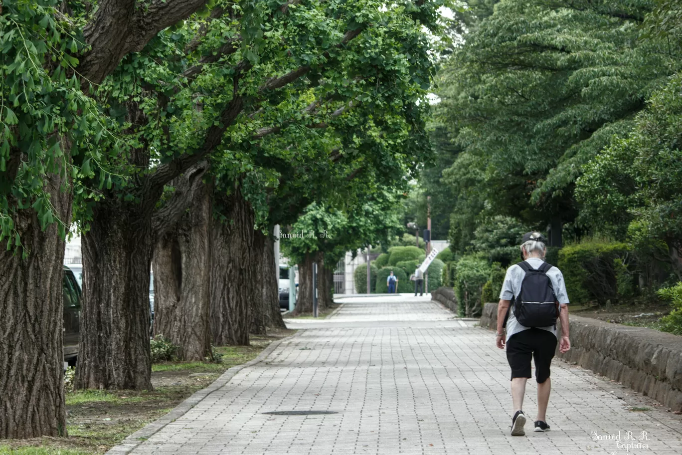 Photo of Tokyo By Sanvid 