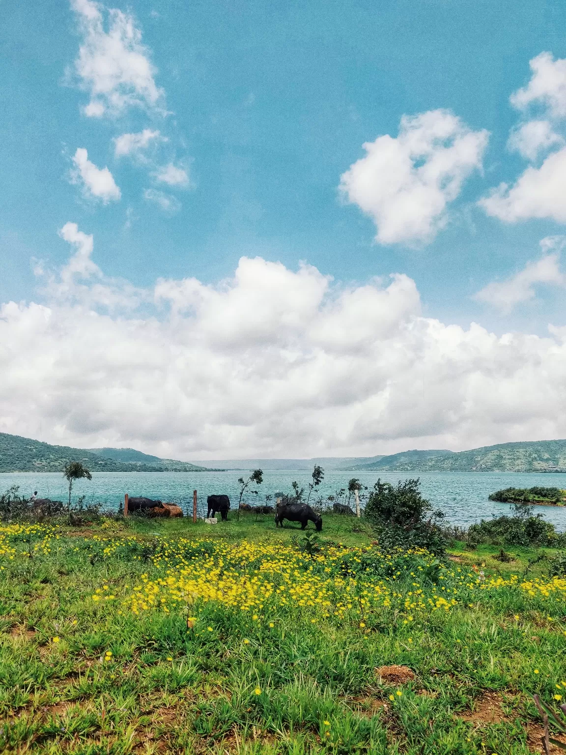 Photo of Pawna Lake By Sneha Parhi