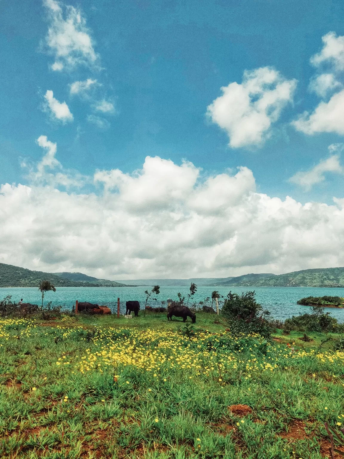 Photo of Pawna Lake By Sneha Parhi