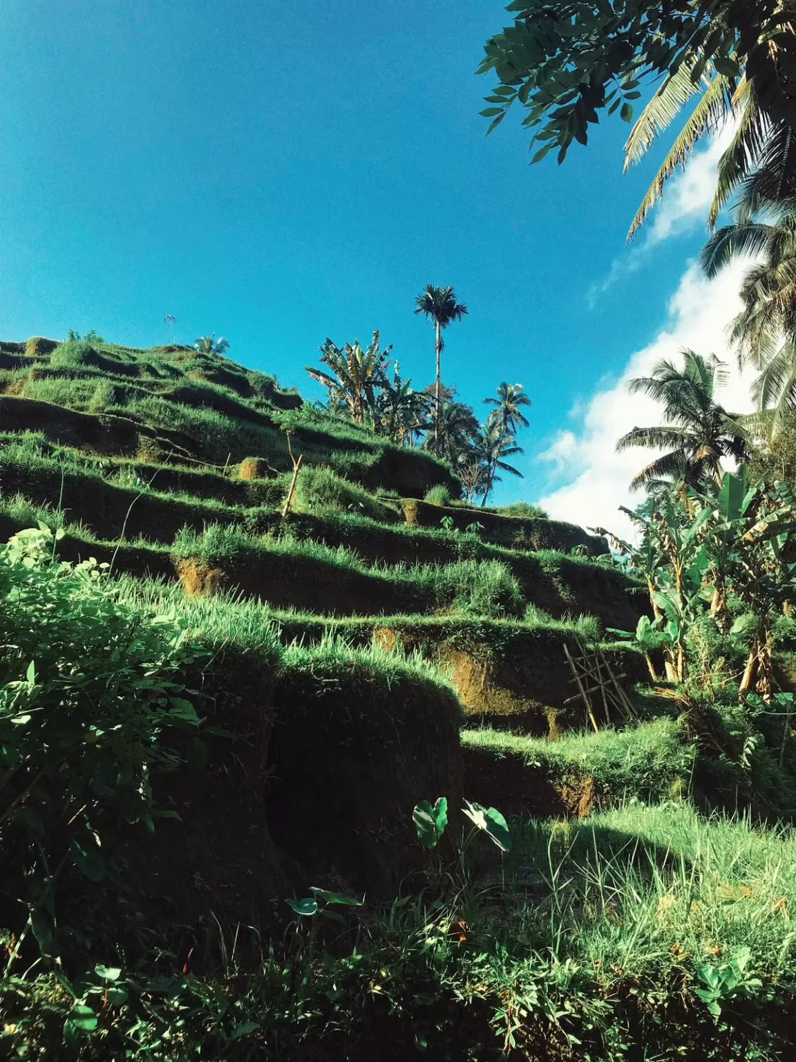 Photo of Bali By Sneha Parhi
