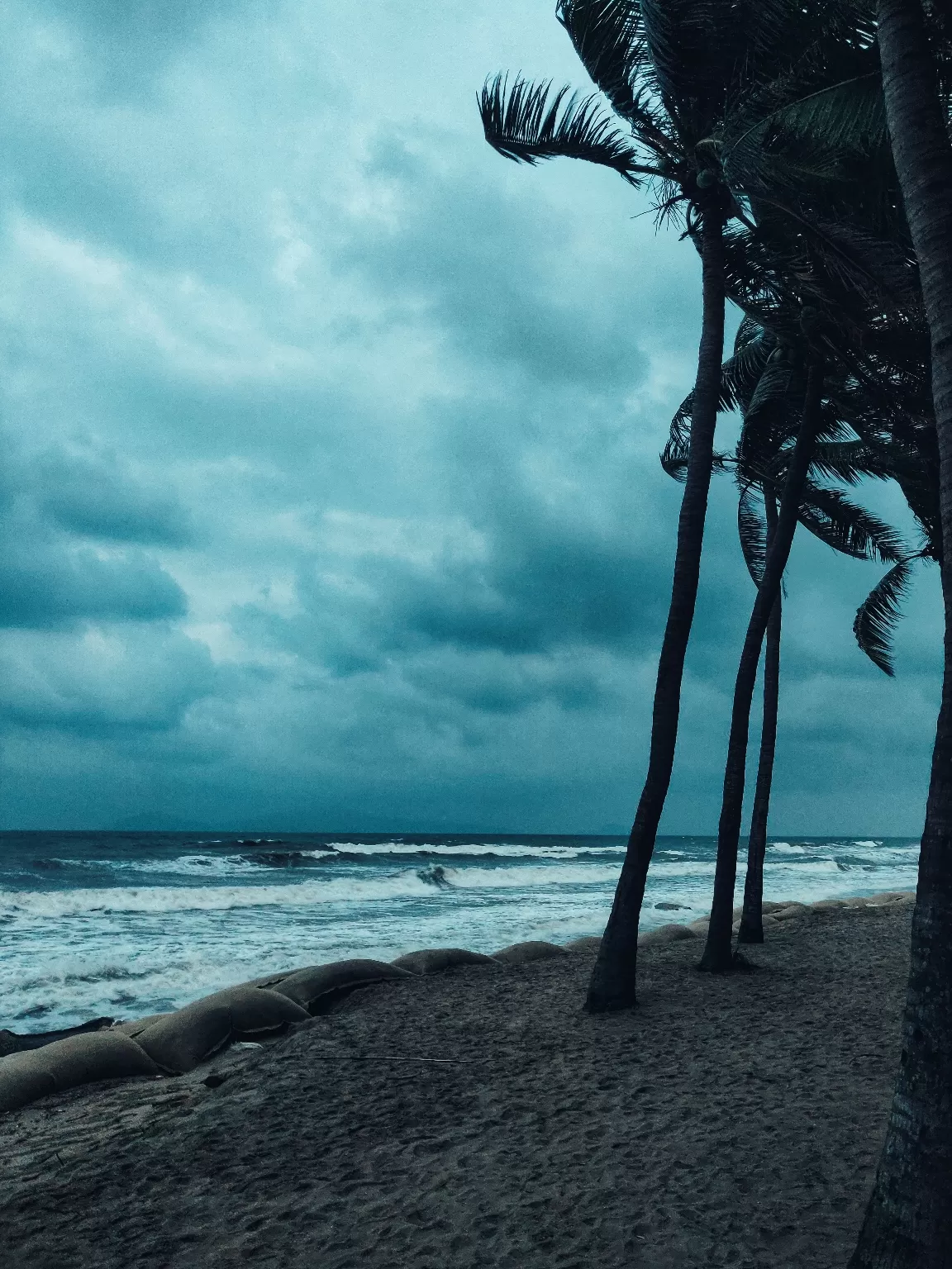 Photo of Vietnam By Sneha Parhi