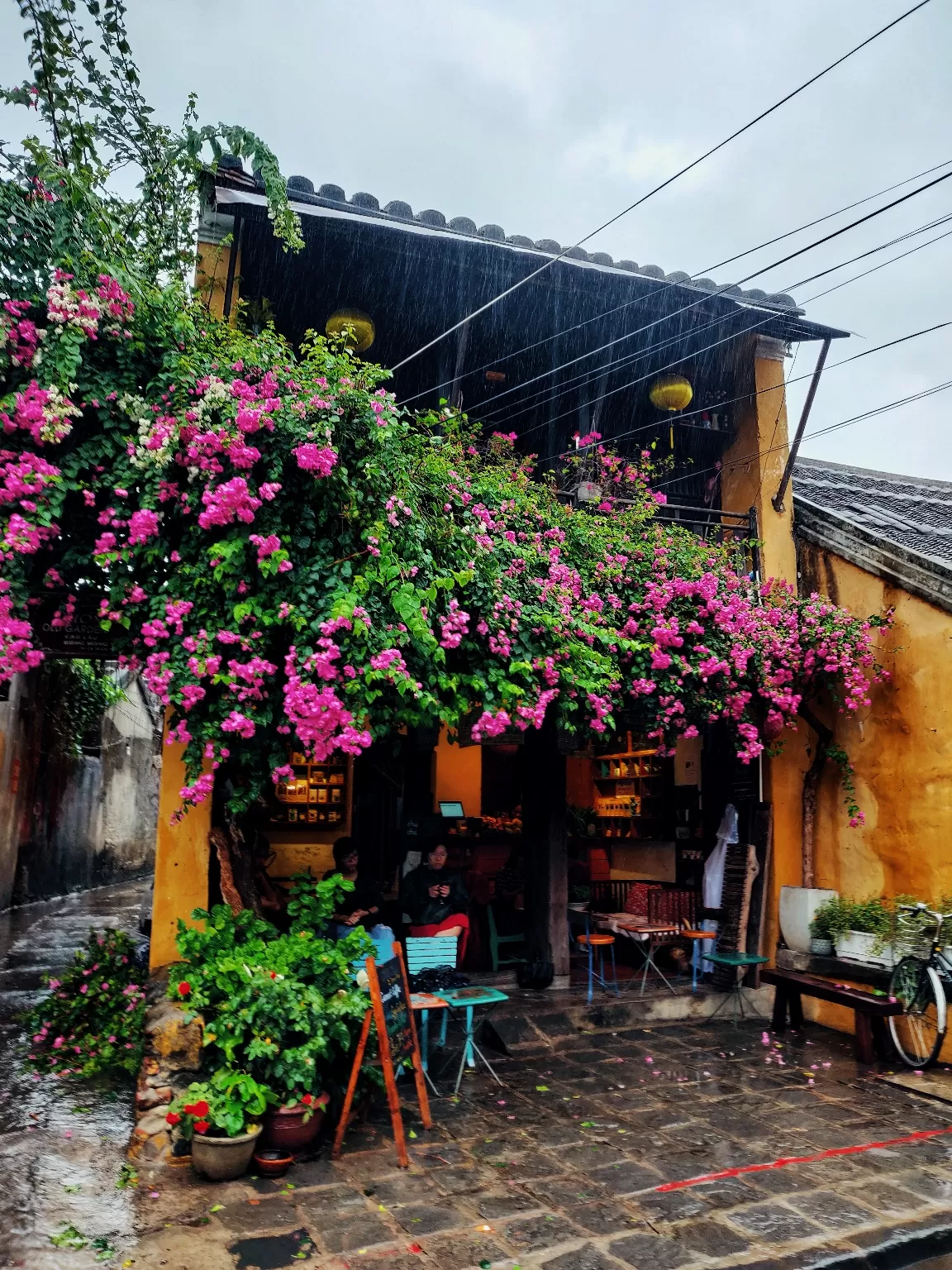 Photo of Vietnam By Sneha Parhi