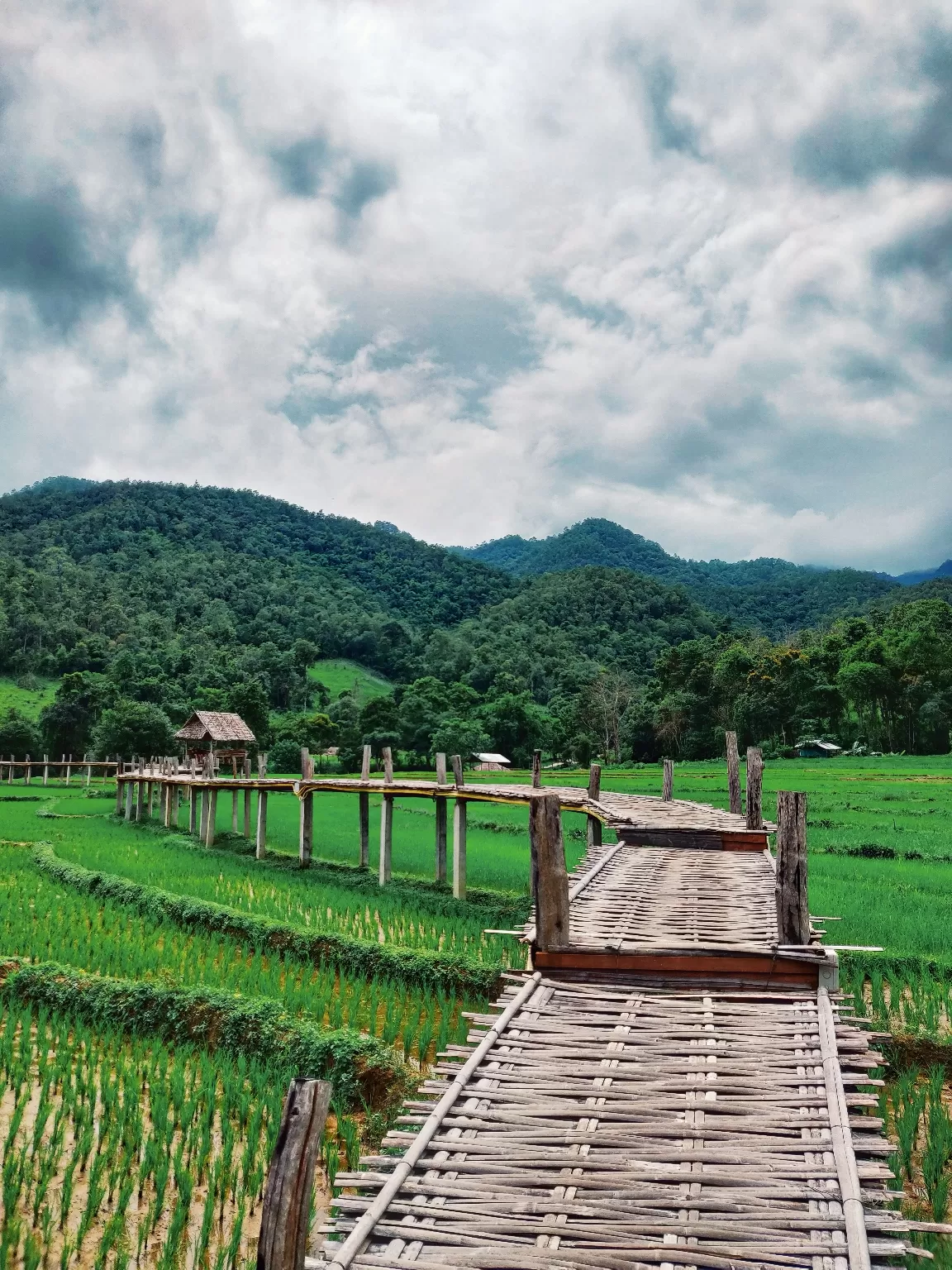 Photo of Thailand By Sneha Parhi