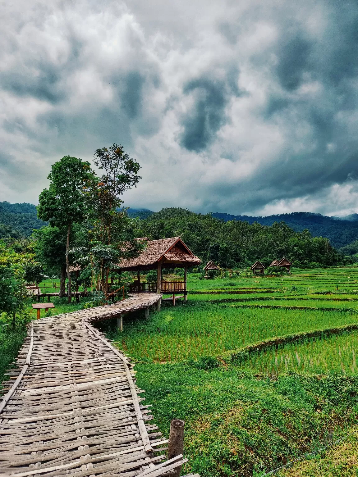 Photo of Thailand By Sneha Parhi