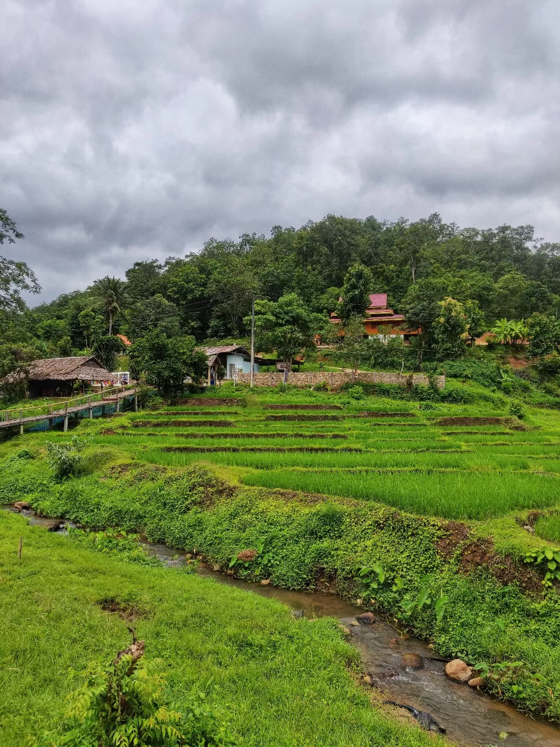 Photo of Thailand By Sneha Parhi