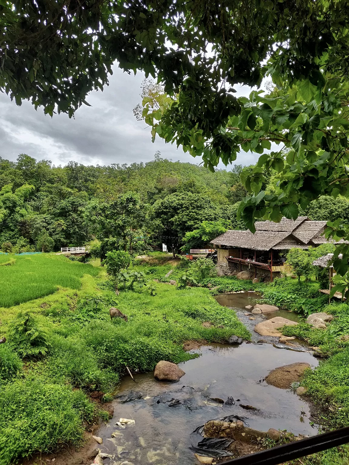 Photo of Thailand By Sneha Parhi