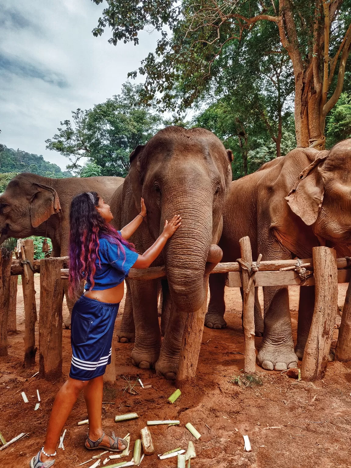 Photo of Thailand By Sneha Parhi