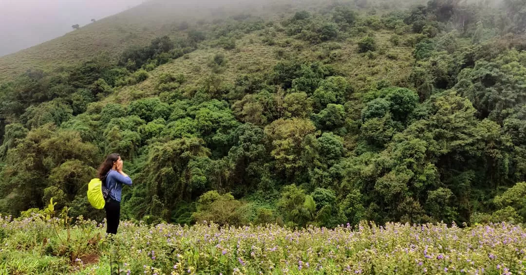 Photo of Tadiandamol Hills By Swetha Dharini