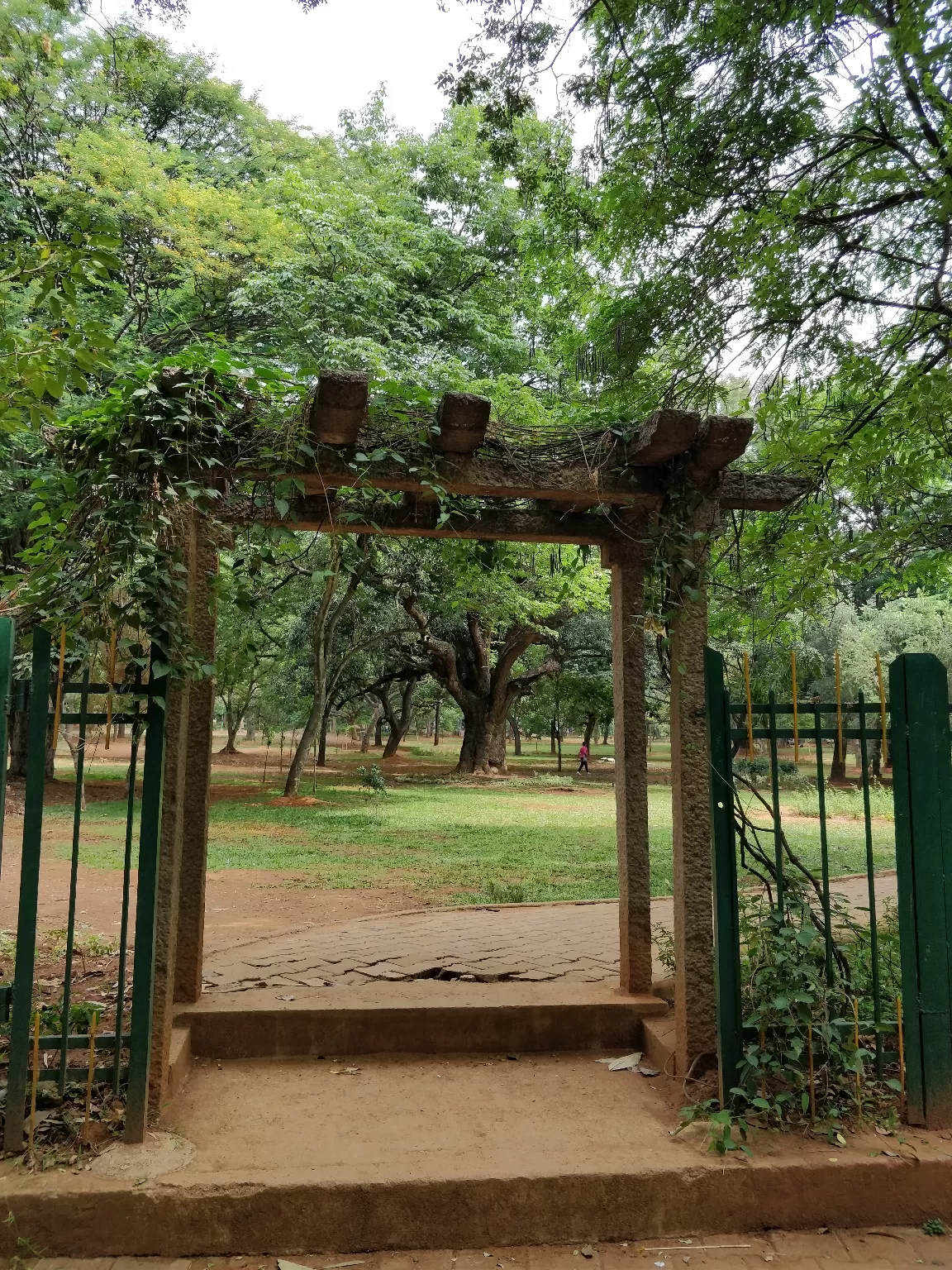 Photo of Cubbon Park By Sravankumar Ravi