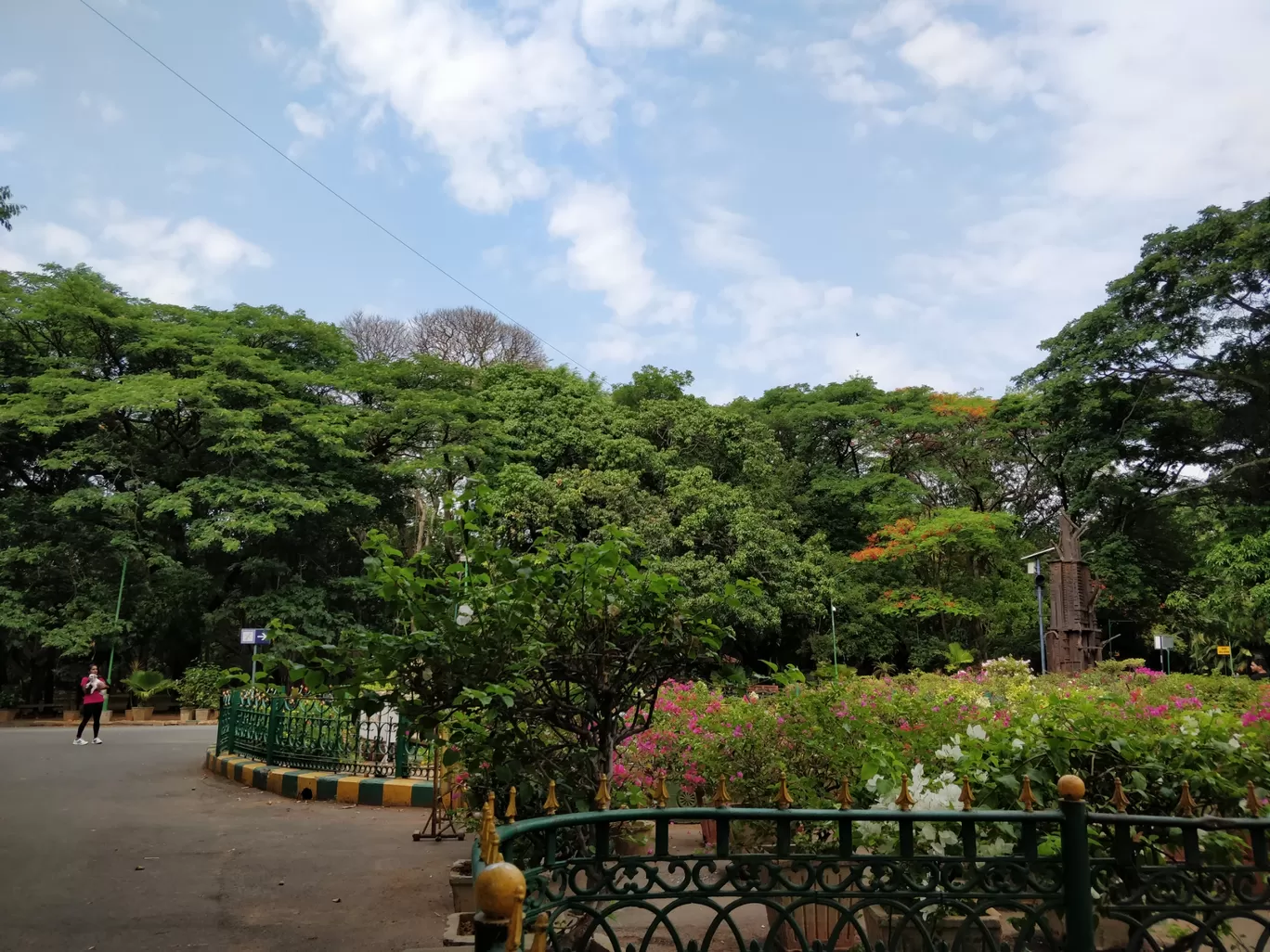 Photo of Cubbon Park By Sravankumar Ravi