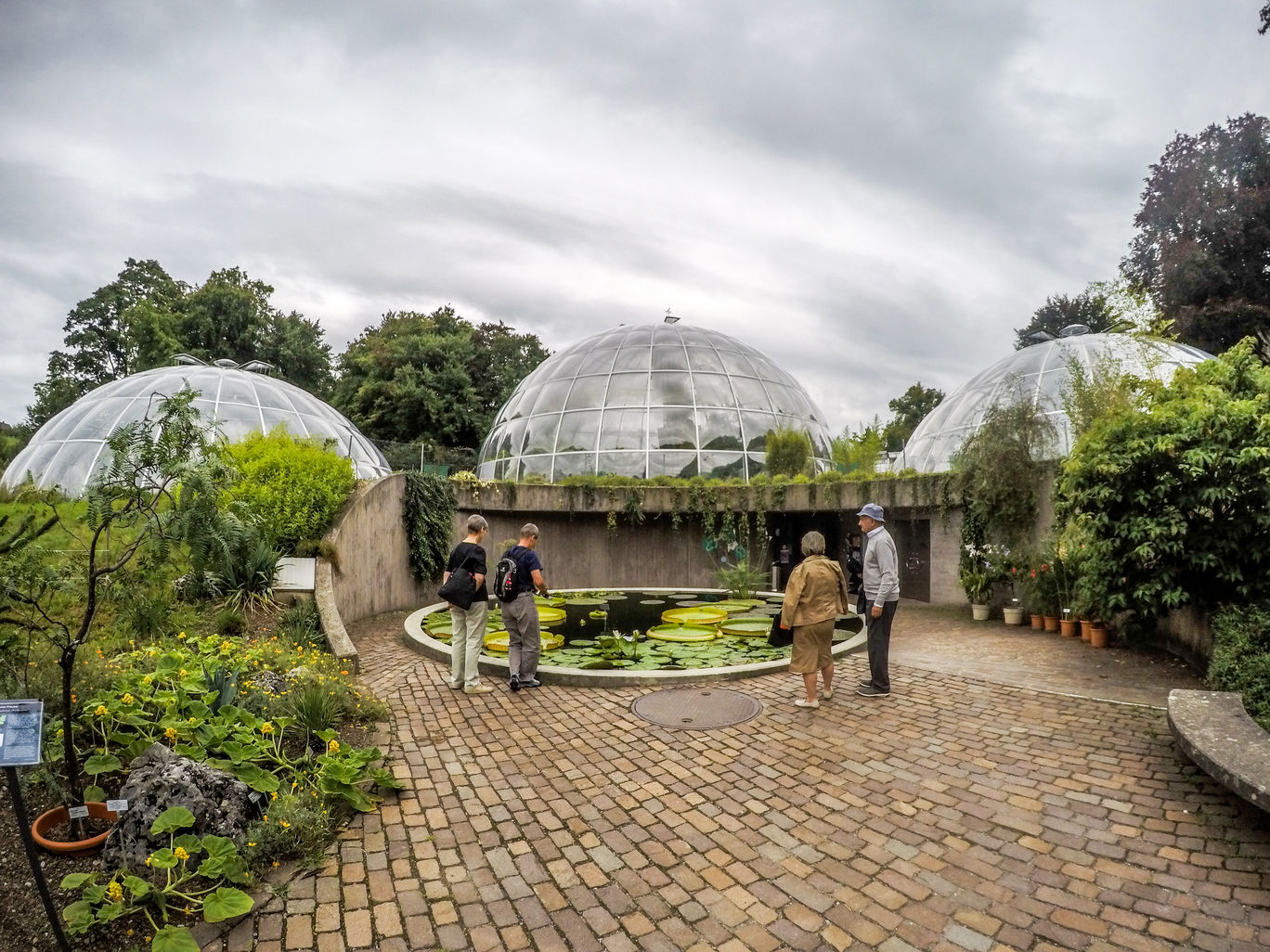 Photo of University of Zürich – Botanical Garden By Marcel Serrano