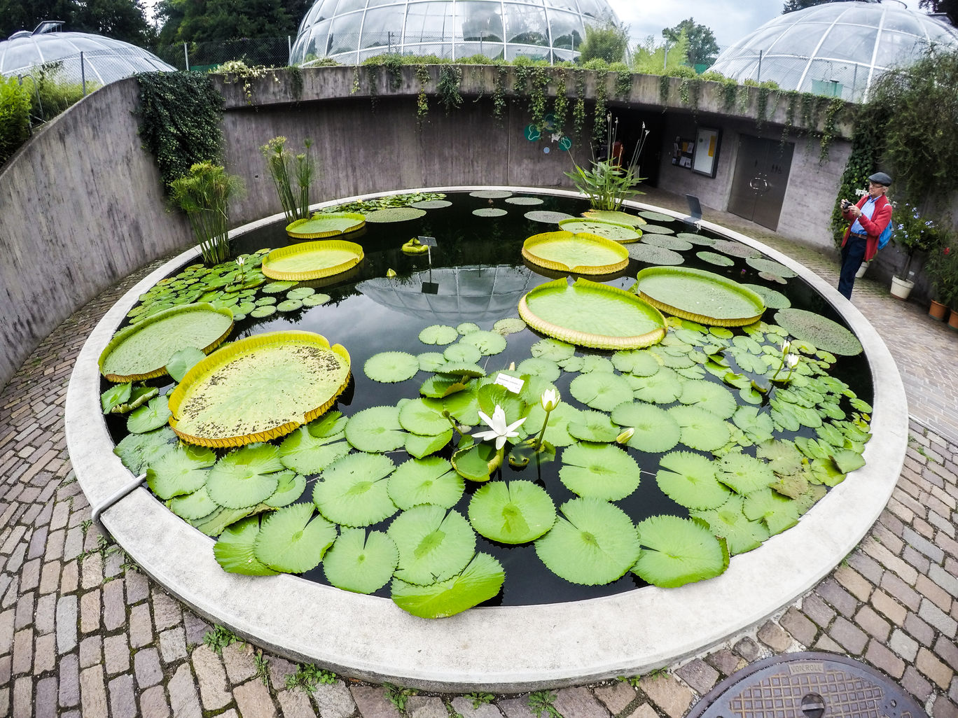 Photo of University of Zürich – Botanical Garden By Marcel Serrano