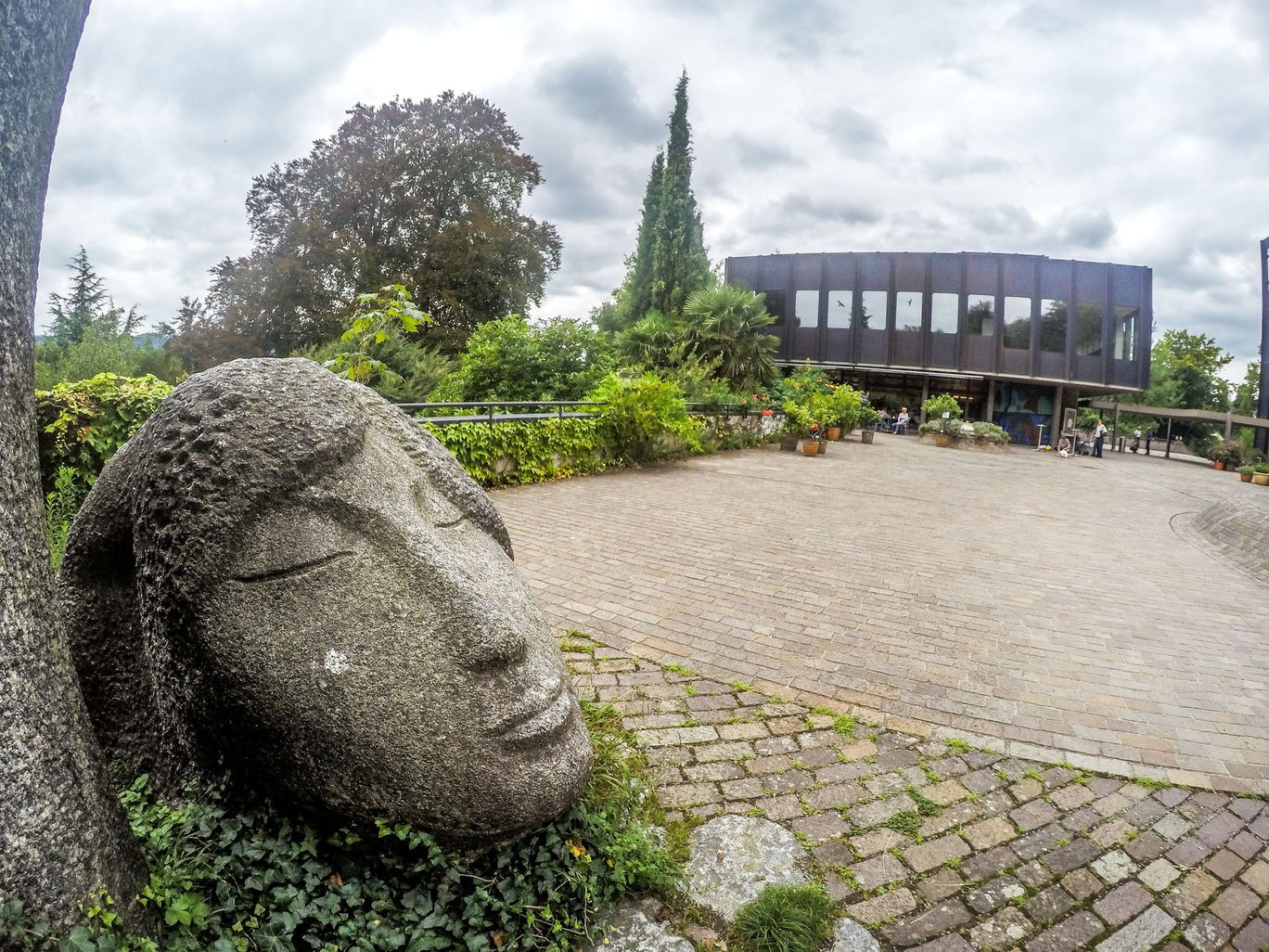 Photo of University of Zürich – Botanical Garden By Marcel Serrano