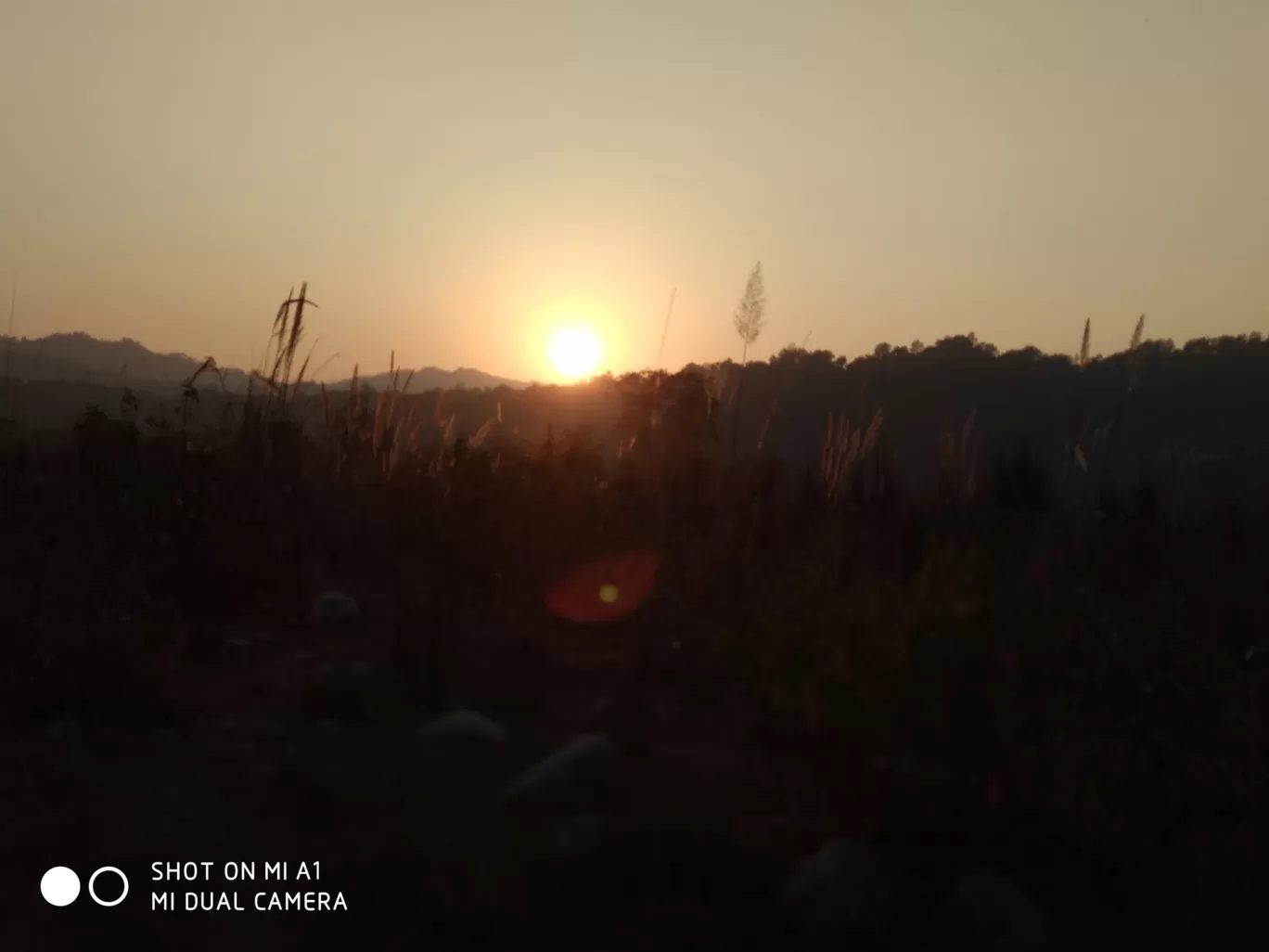 Photo of Mukteshwar By Shaurya Singh