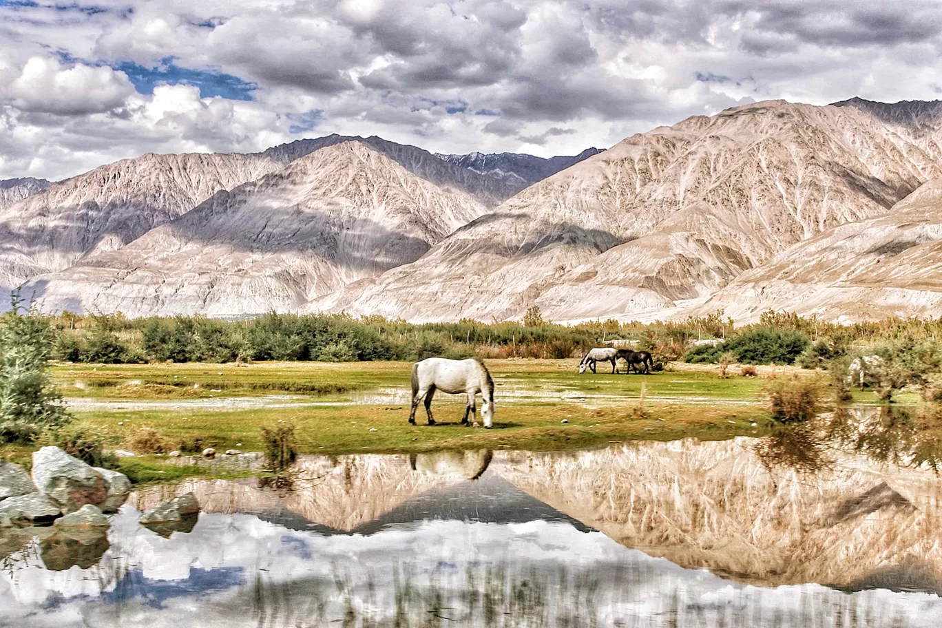 Photo of Ladakh By Mayank Tiwari