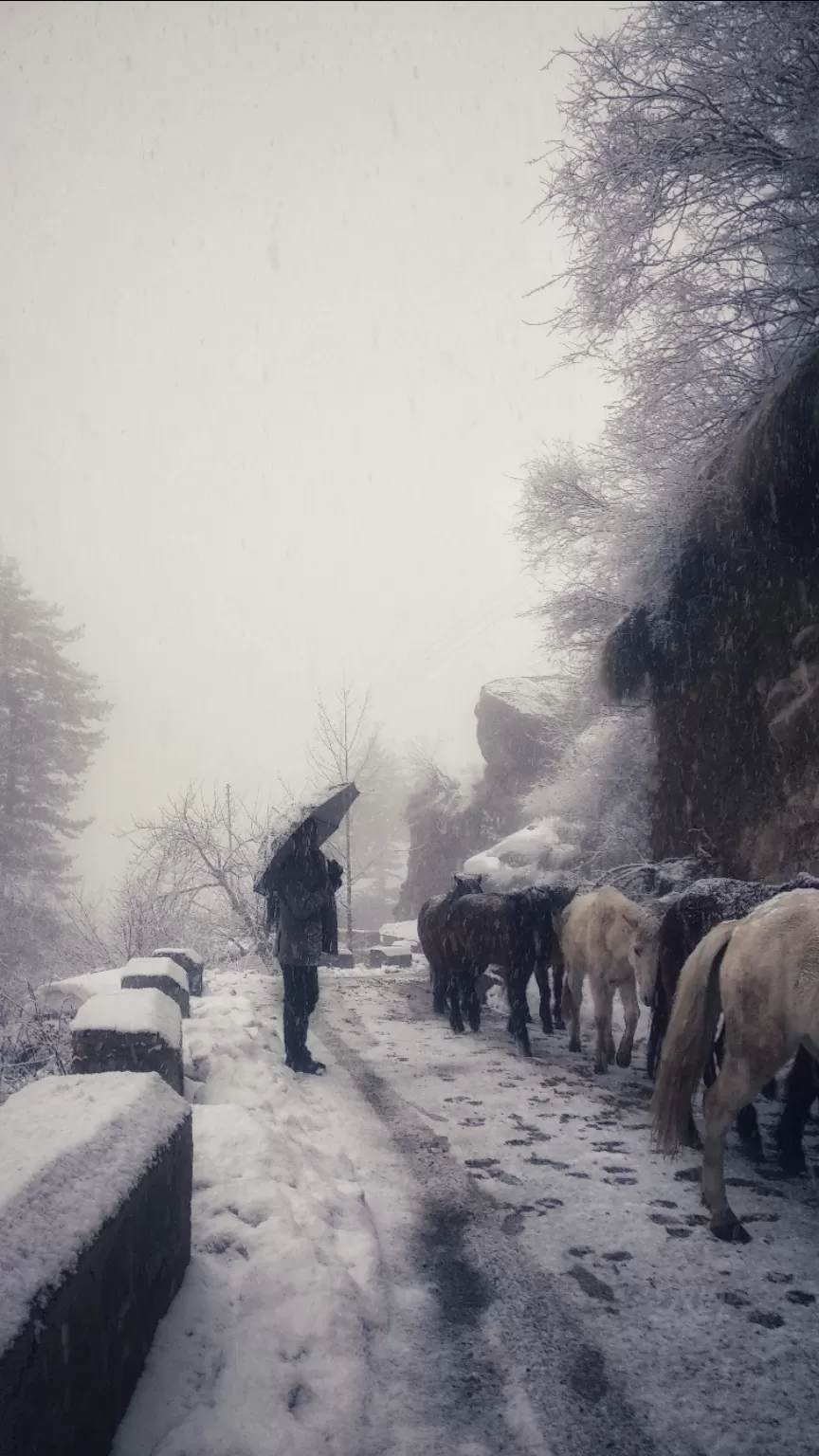 Photo of Parvati Valley By Shanir Yitzhak