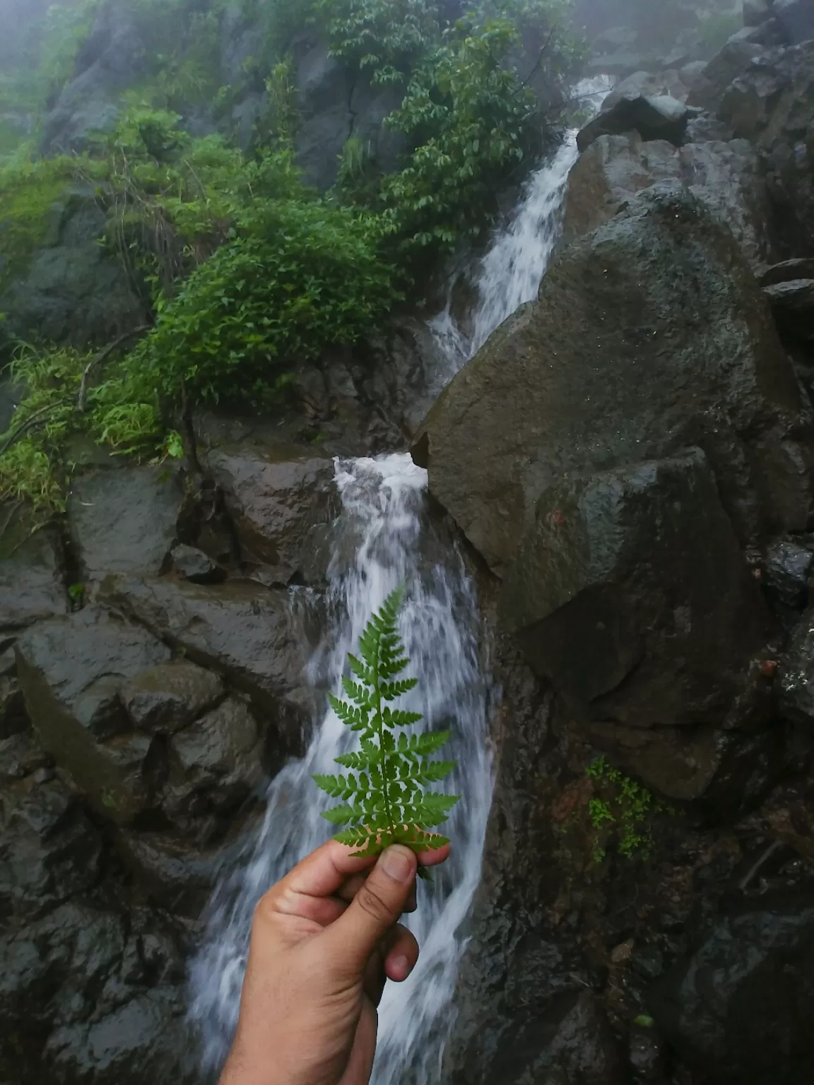 Photo of Chikmagalur By Avinash gowda