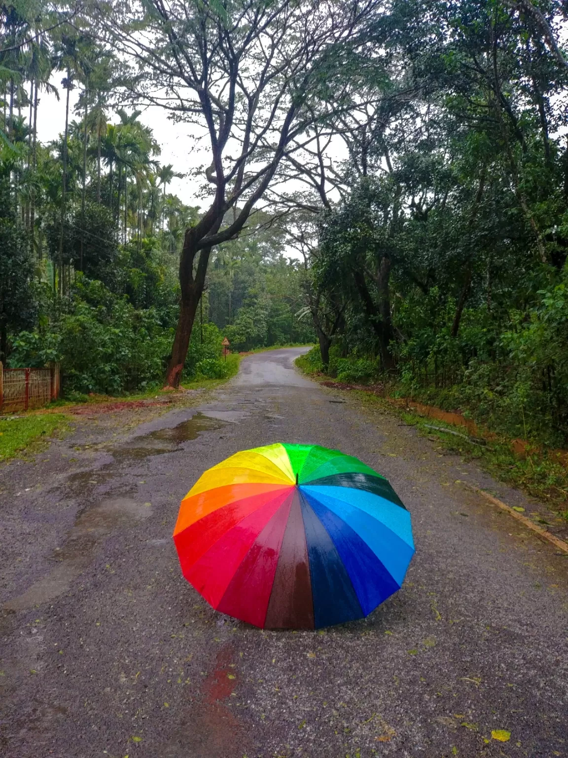 Photo of Chikmagalur By Avinash gowda
