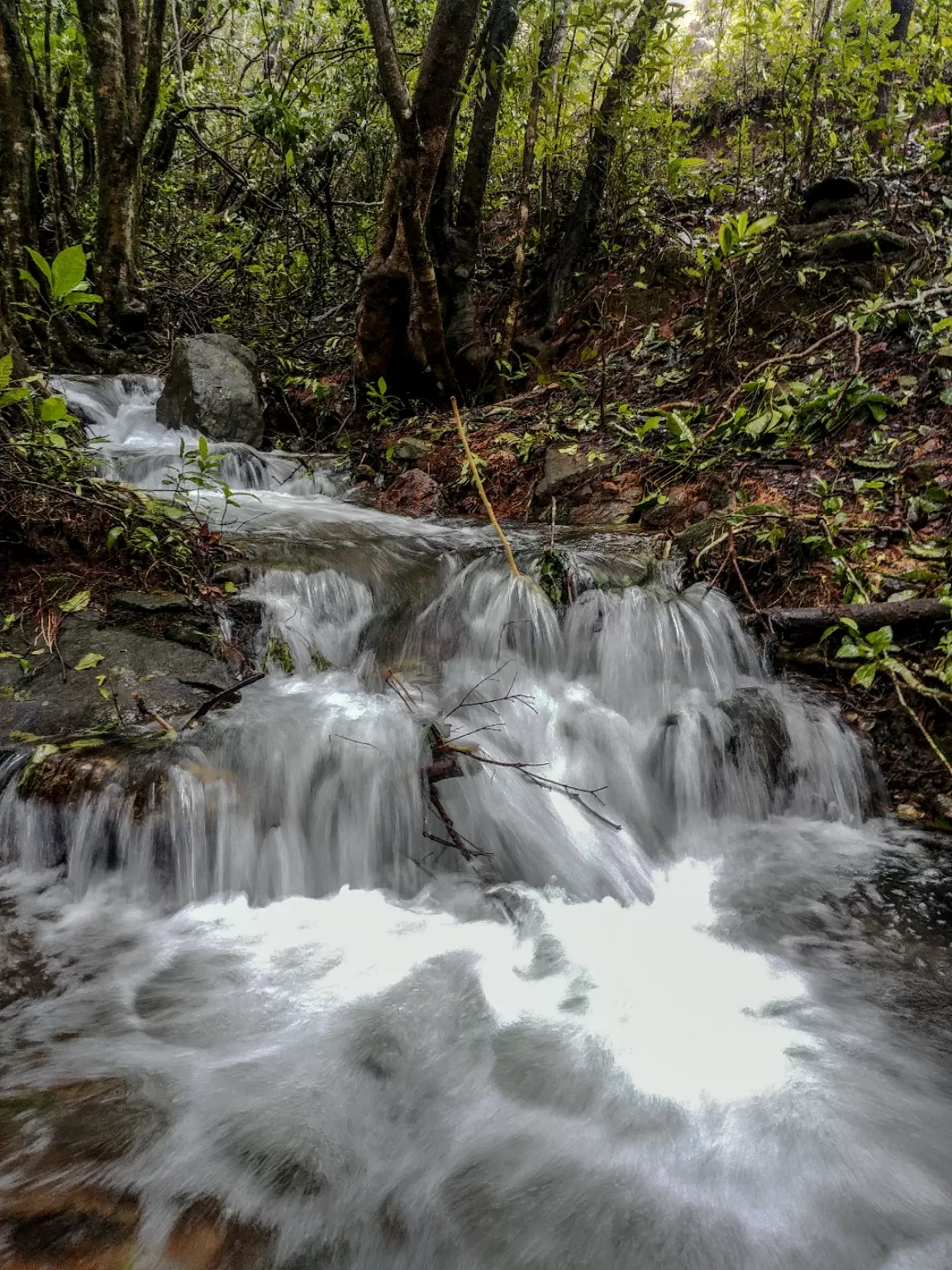 Photo of Chikmagalur By Avinash gowda