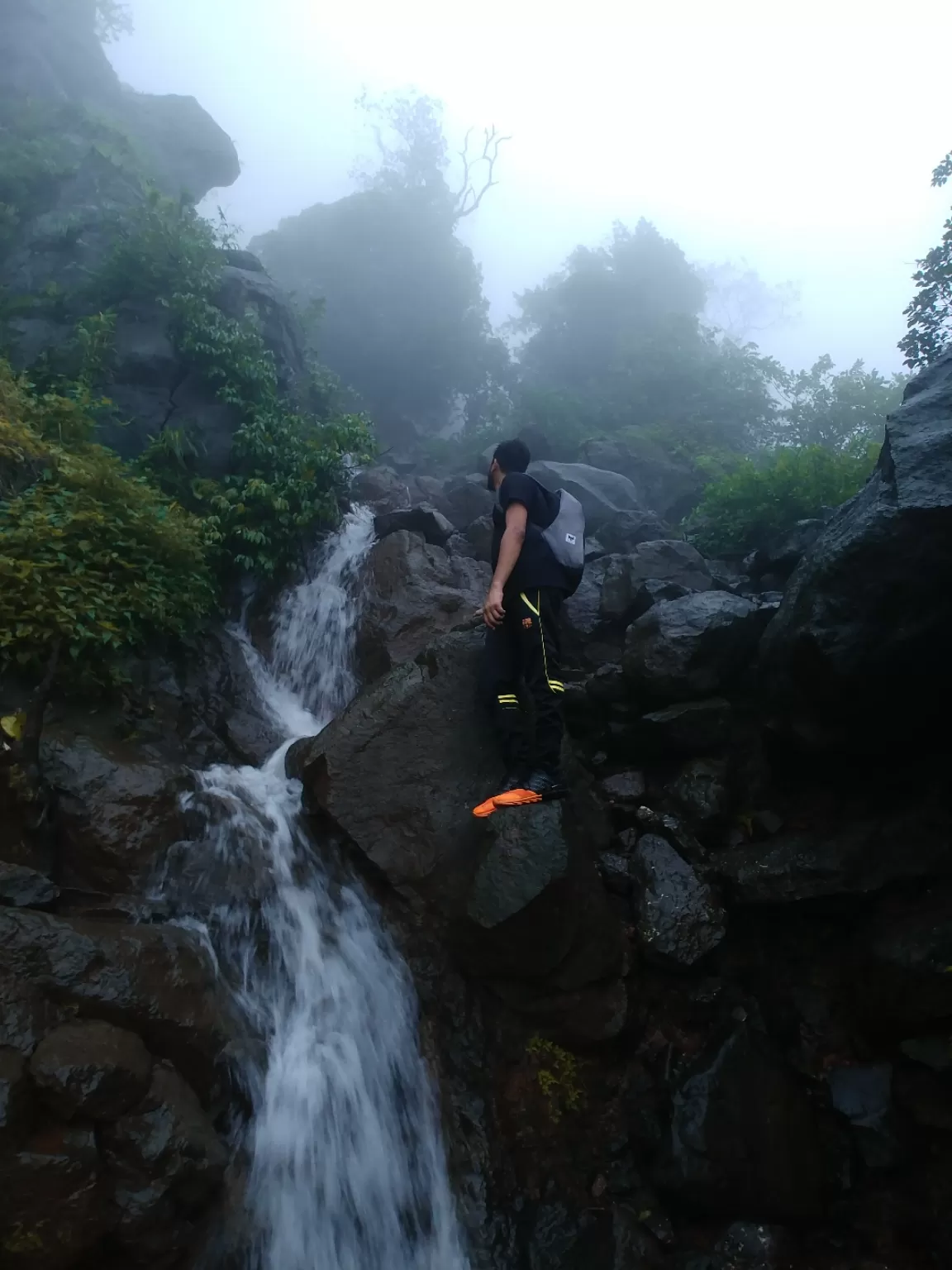Photo of Chikmagalur By Avinash gowda