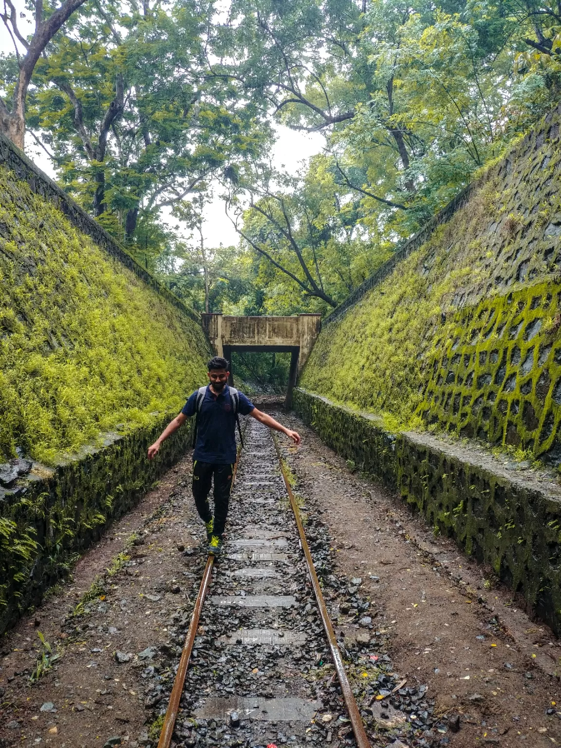 Photo of Sanjay Gandhi National Park By Avinash gowda