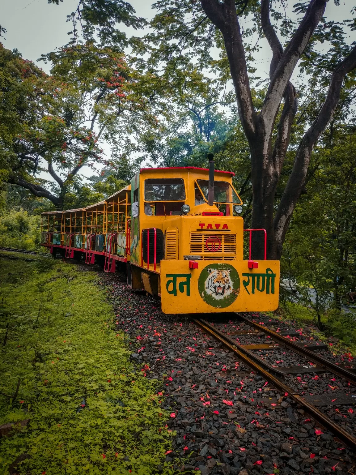 Photo of Sanjay Gandhi National Park By Avinash gowda