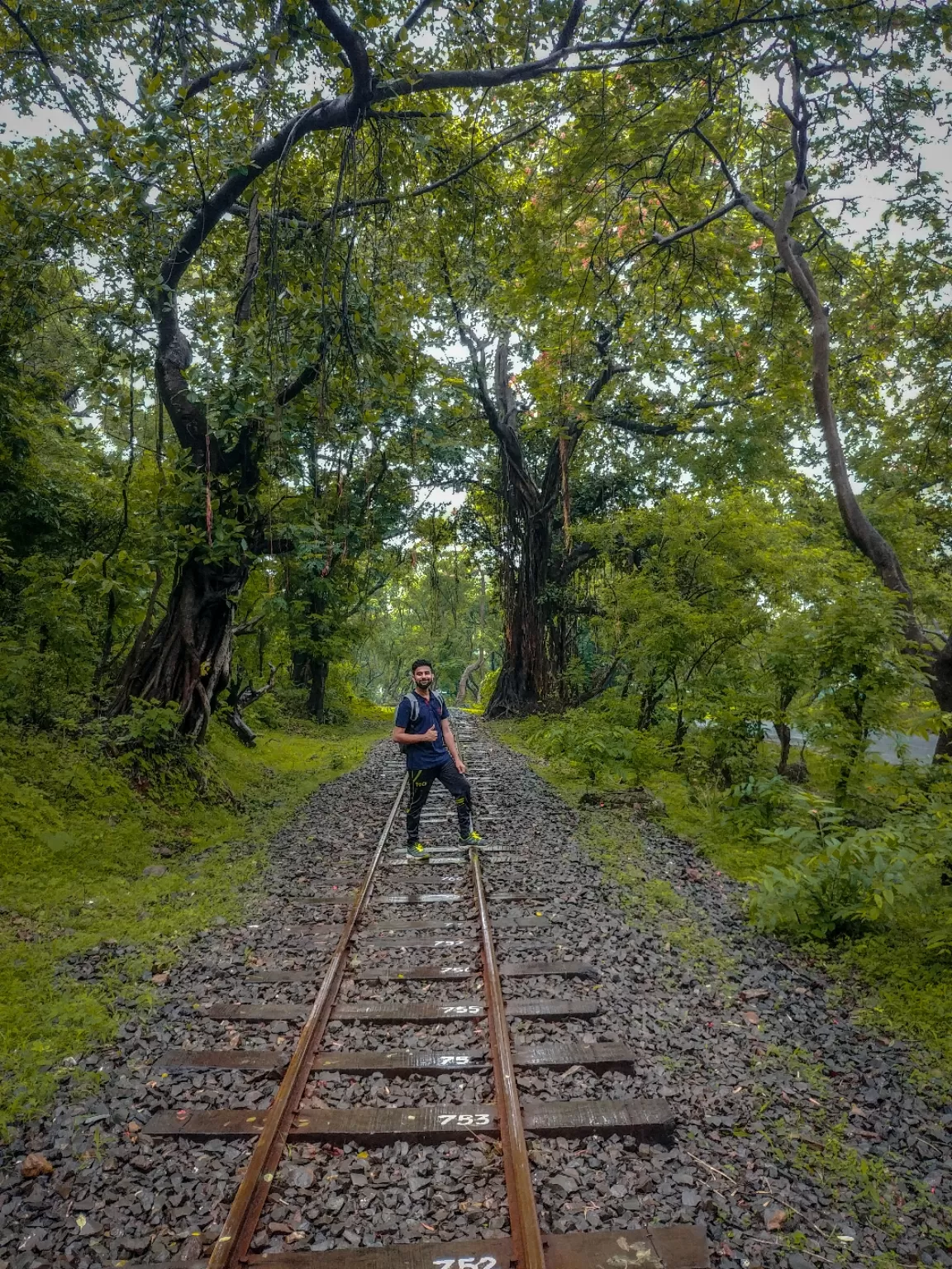 Photo of Sanjay Gandhi National Park By Avinash gowda