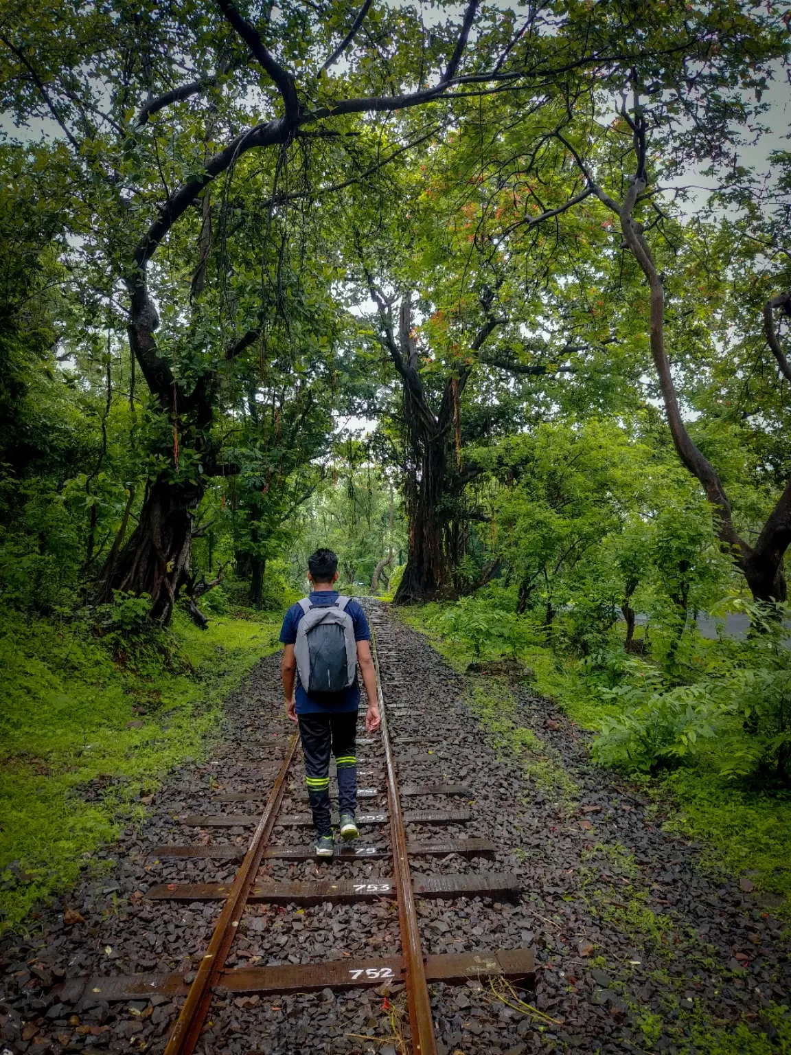 Photo of Sanjay Gandhi National Park By Avinash gowda