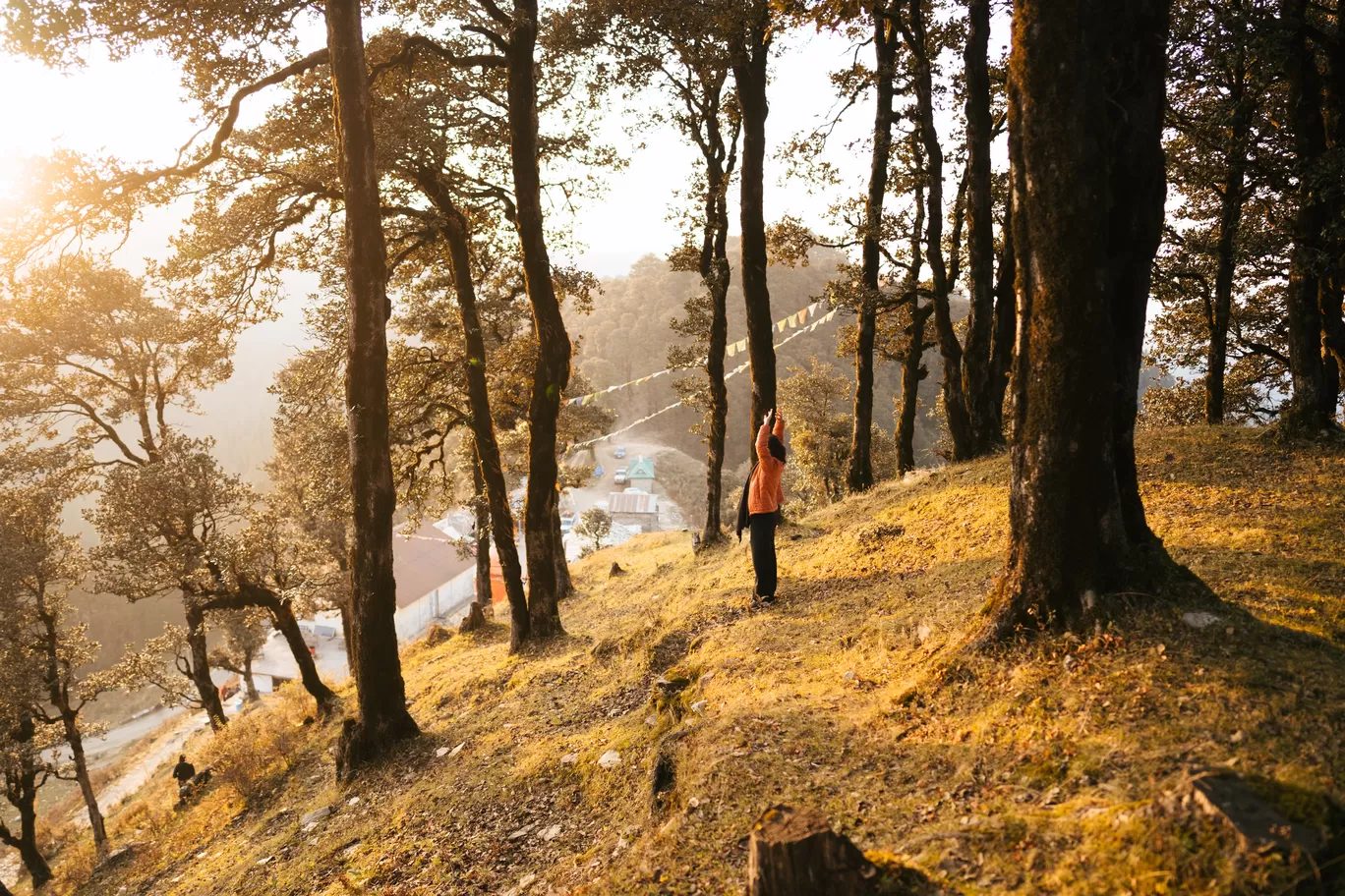 Photo of Jalori Pass By SATYA GAUTAM