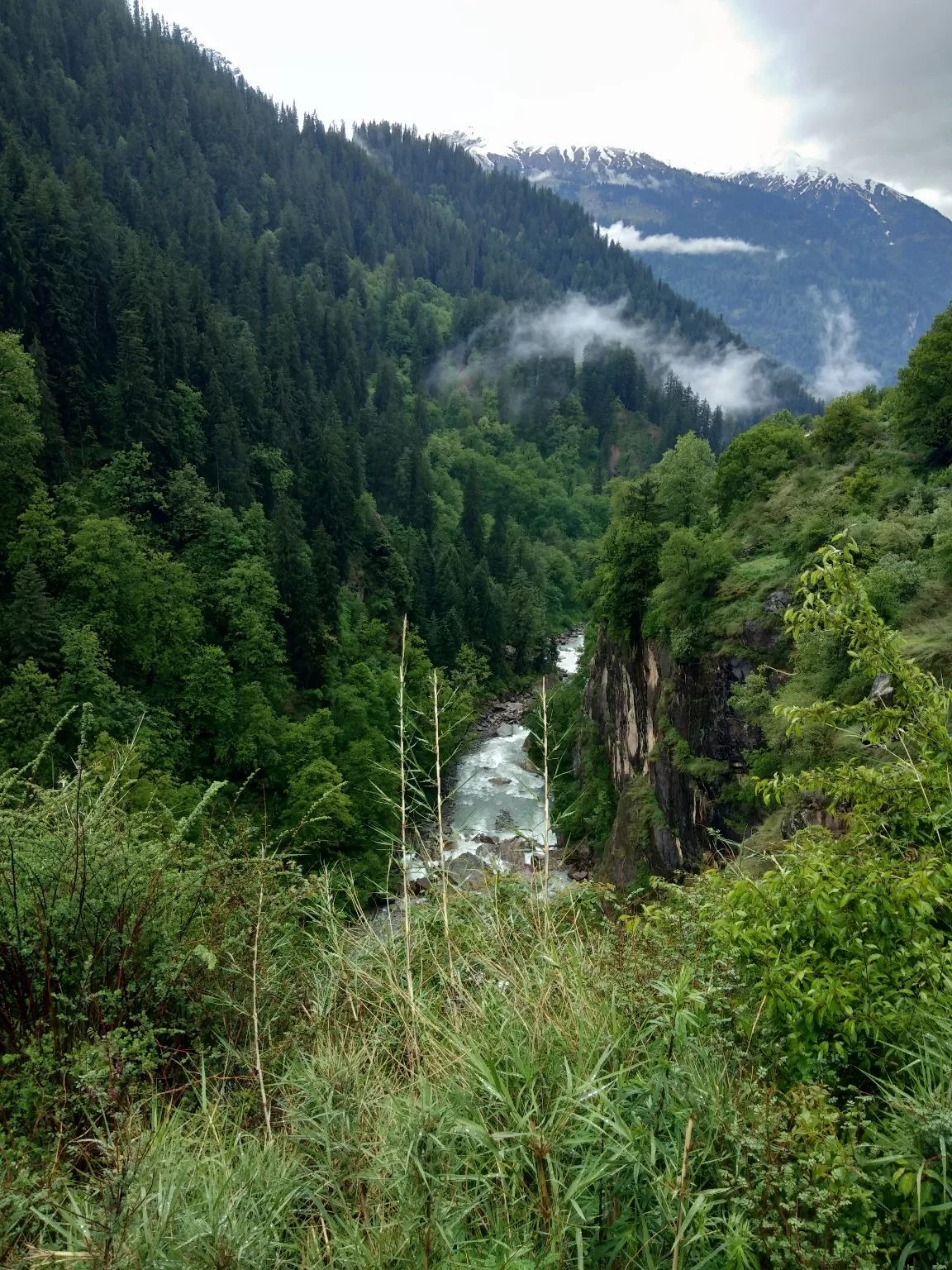 Photo of Kheerganga Trek By Abhishek Thakur