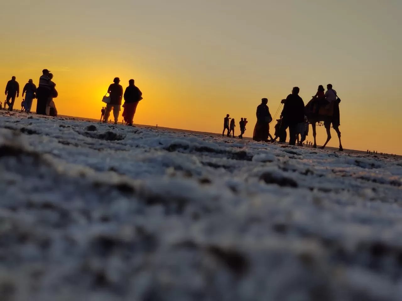 Photo of Rann of Kutch By Hardik Rathod