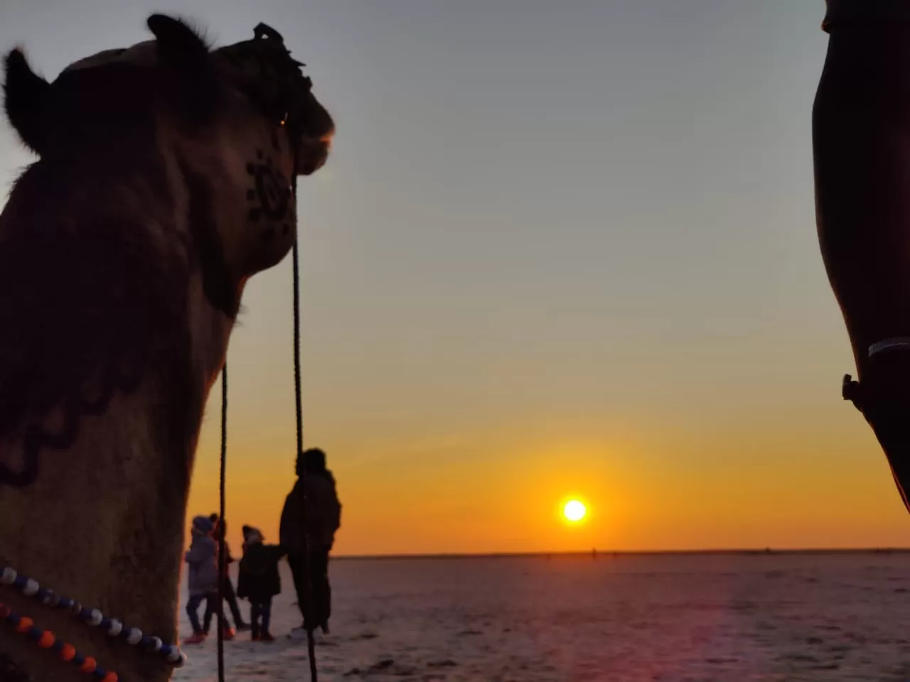 Photo of Rann of Kutch By Hardik Rathod