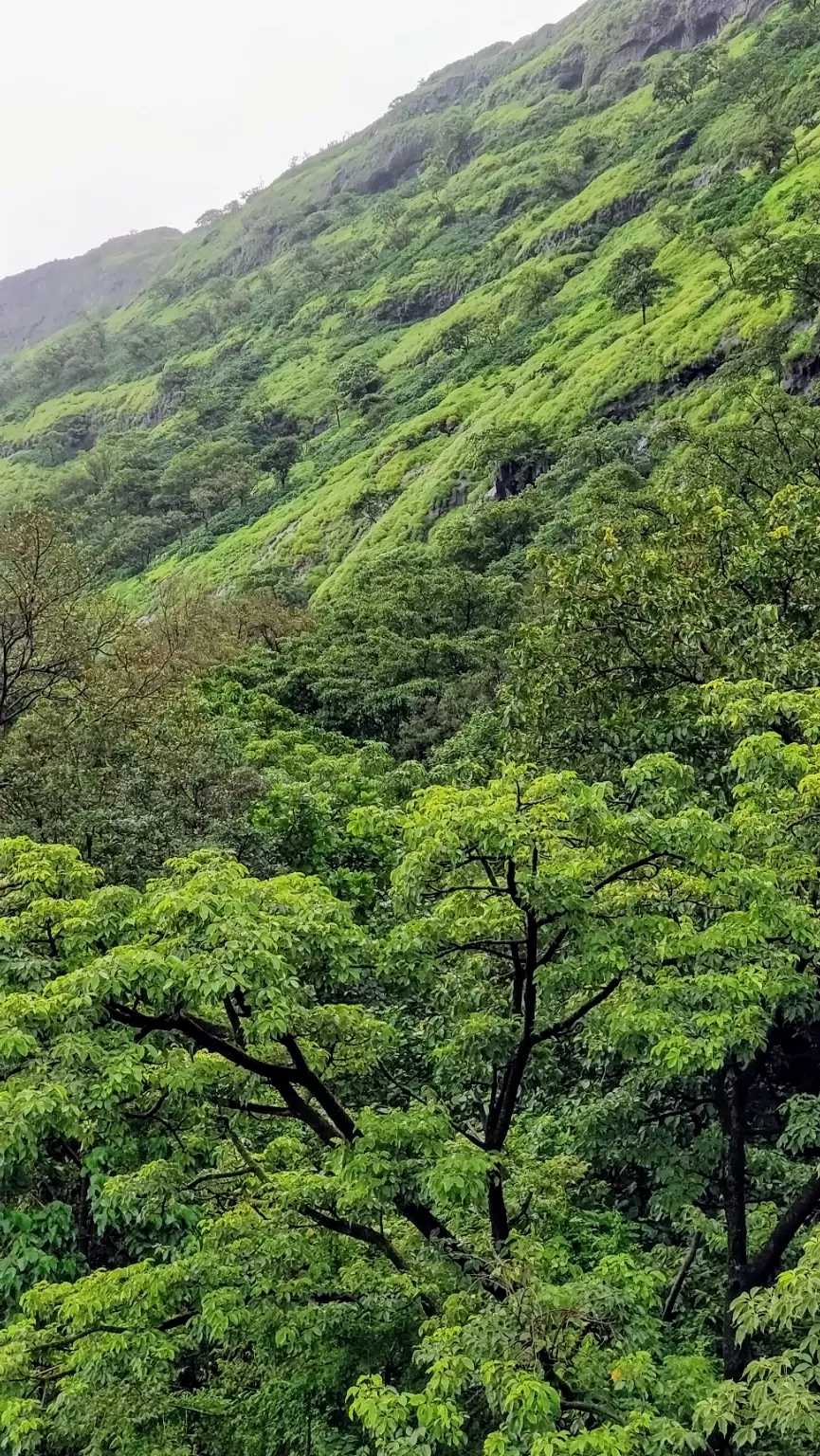 Photo of Pune By Ravi Shankar