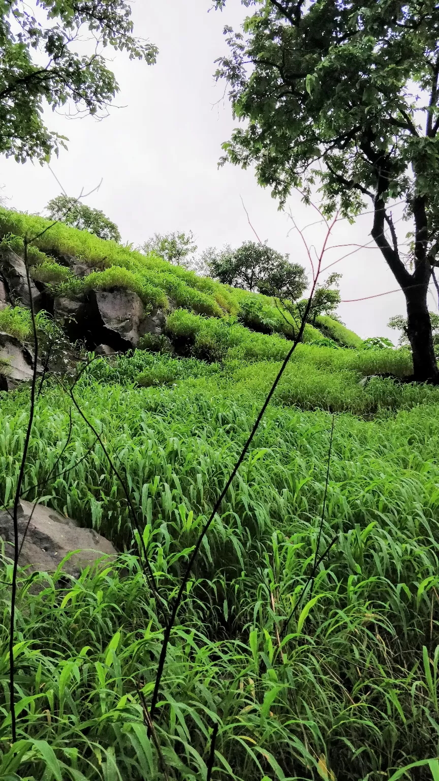 Photo of Pune By Ravi Shankar