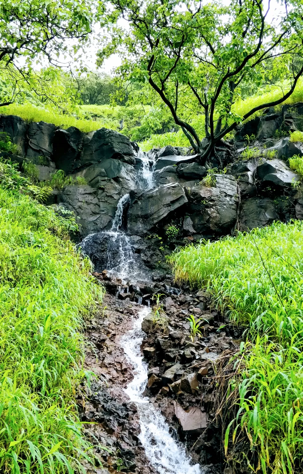 Photo of Pune By Ravi Shankar