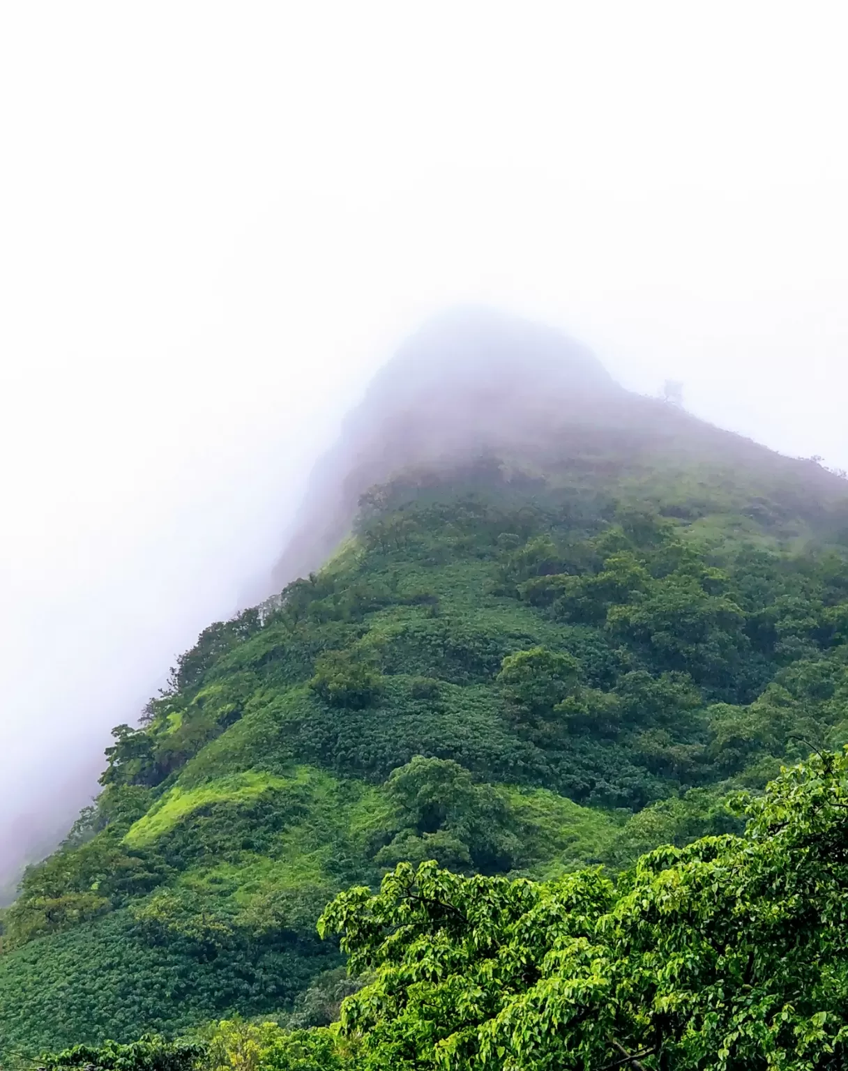Photo of Pune By Ravi Shankar