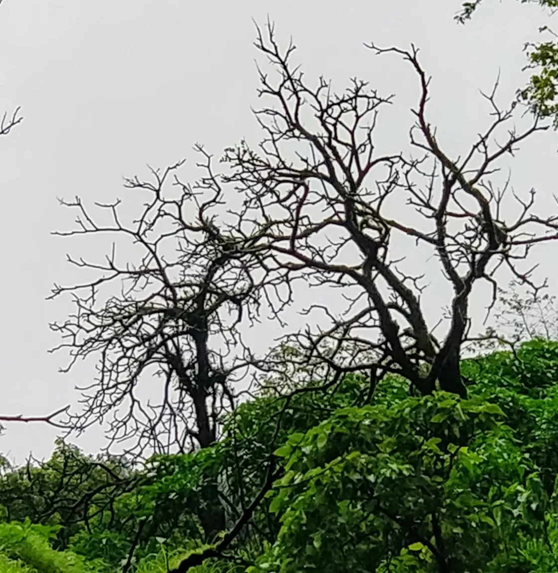 Photo of Pune By Ravi Shankar