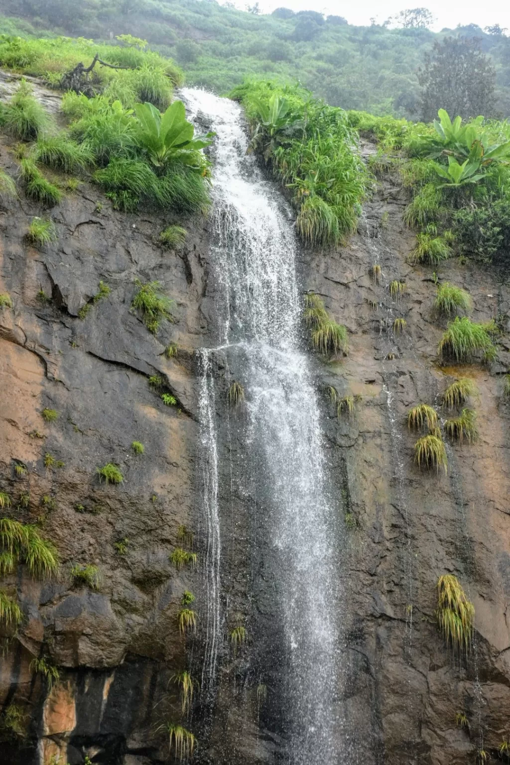 Photo of Pune By Ravi Shankar