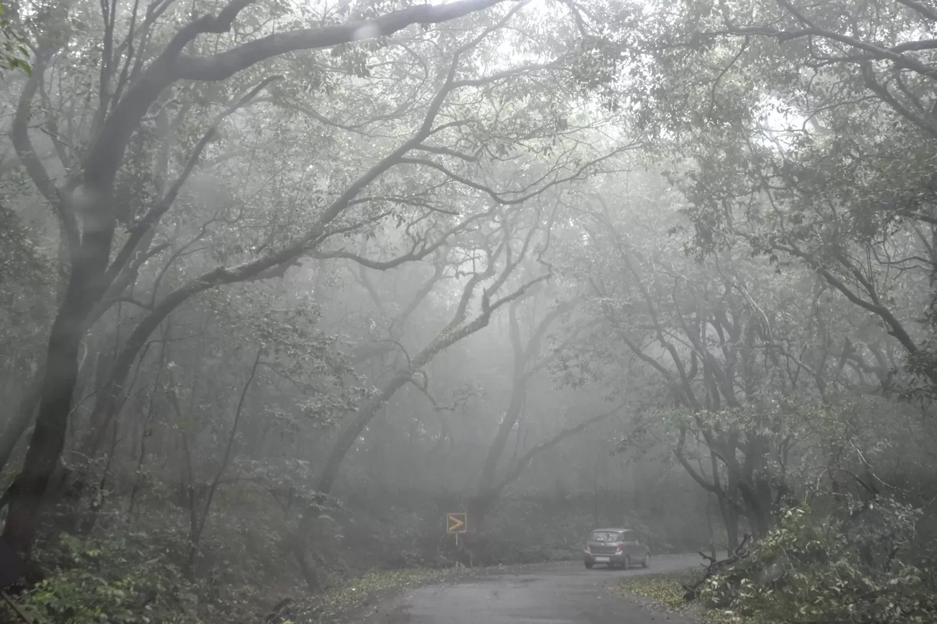 Photo of Pune By Ravi Shankar