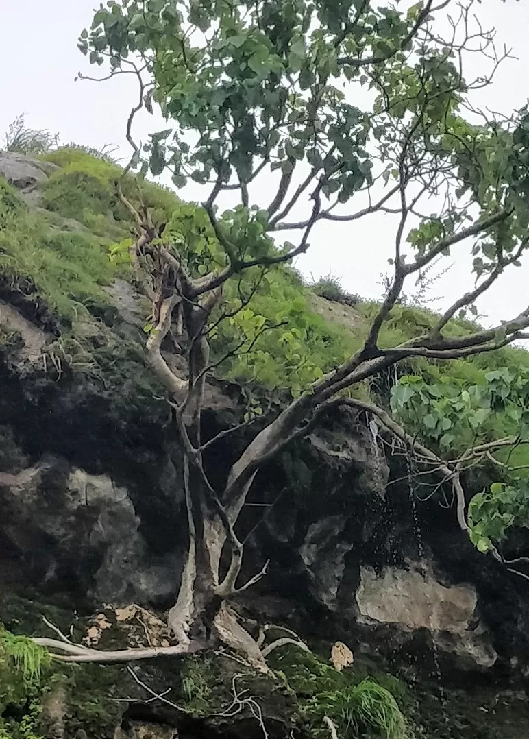 Photo of Pune By Ravi Shankar
