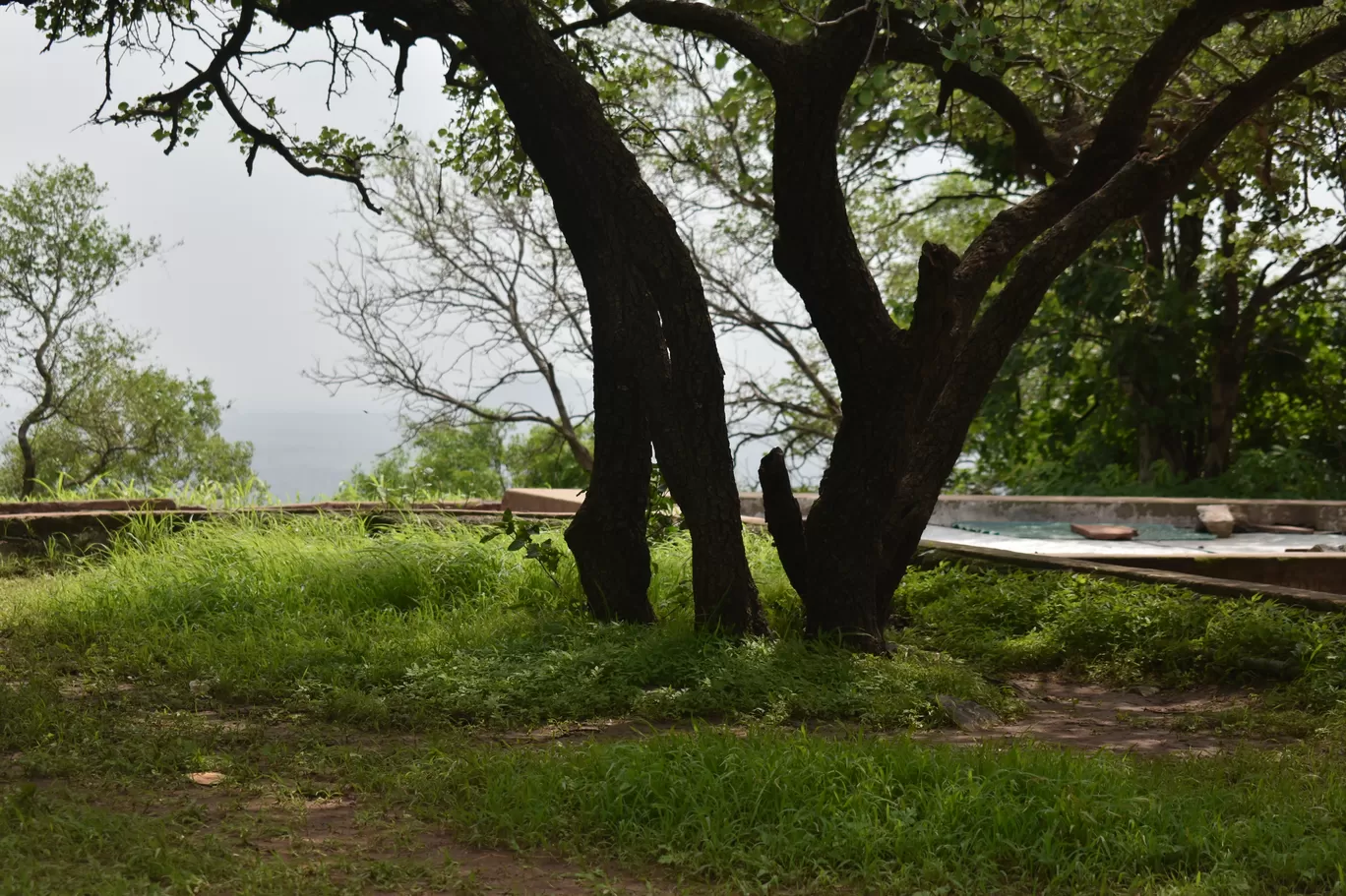 Photo of Ralamandal By Shashwat Sharma