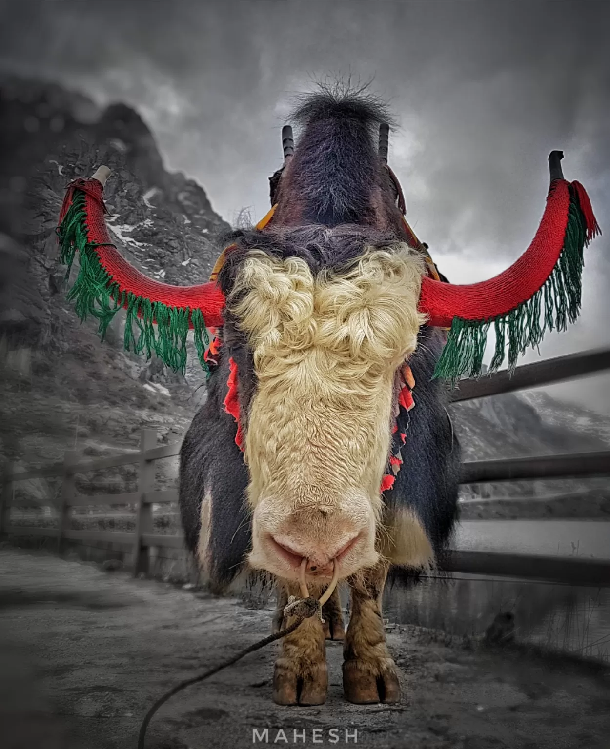Photo of Sikkim By Soul and Fuel