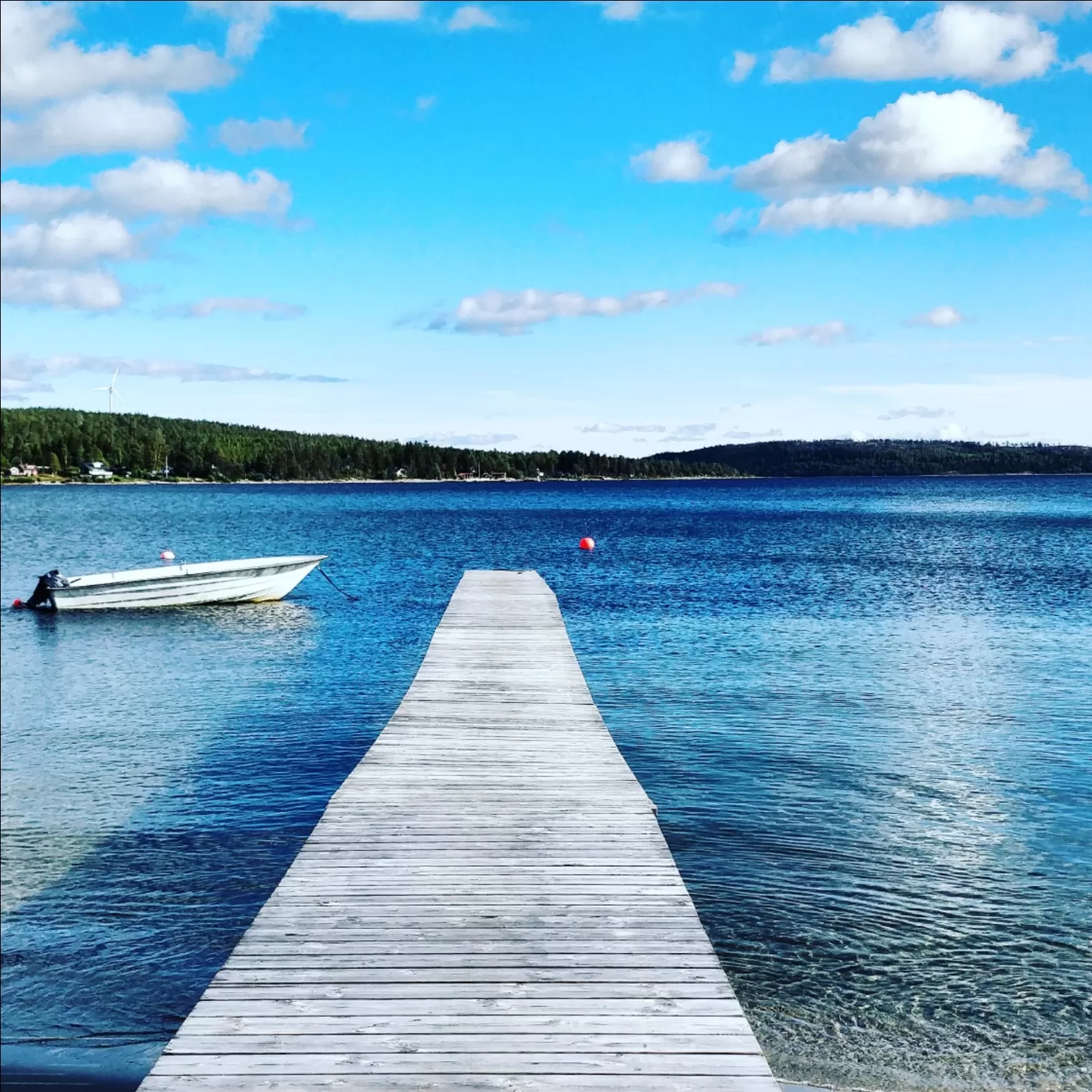 Photo of Gullvik By Heema L