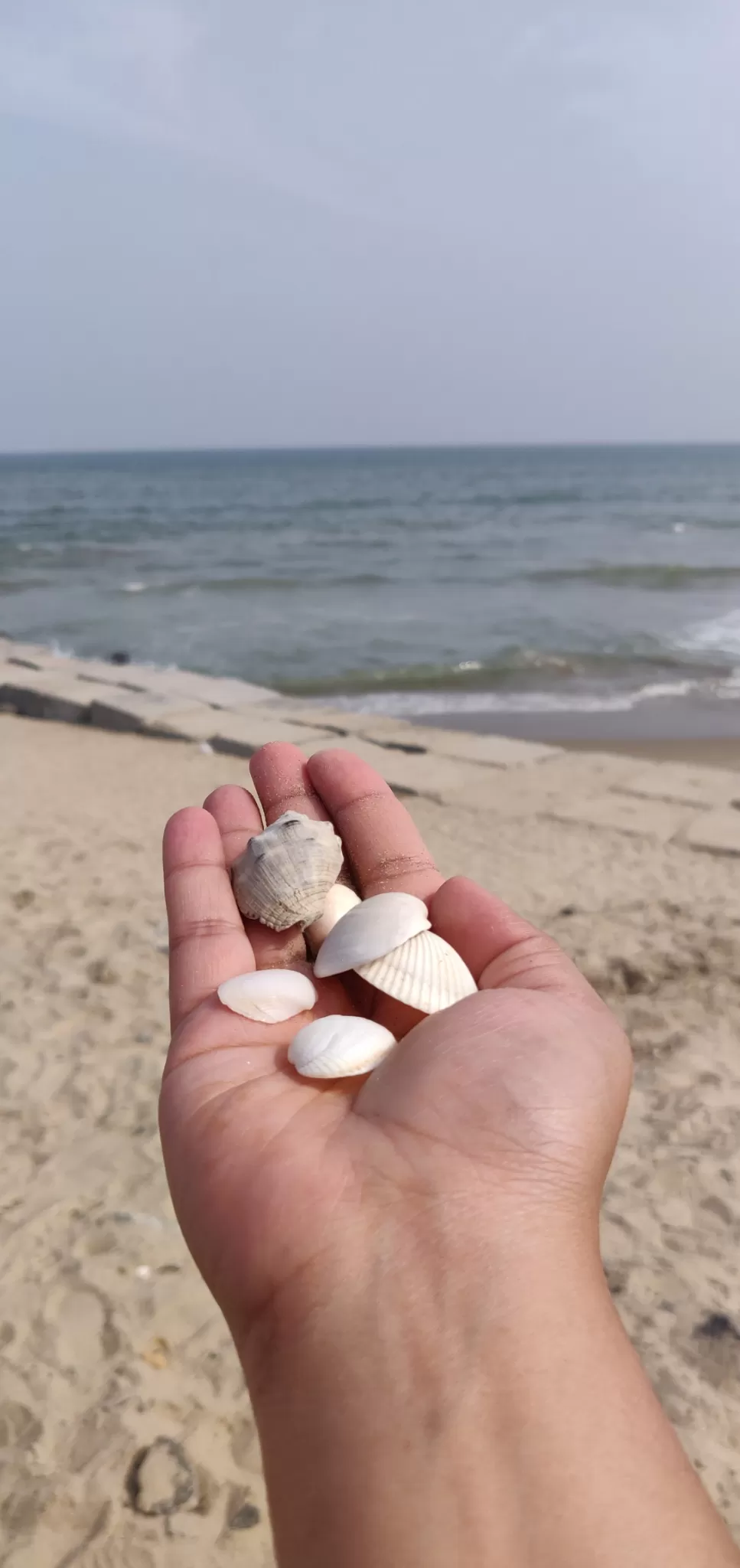 Photo of Pondicherry By Shruti Gulati