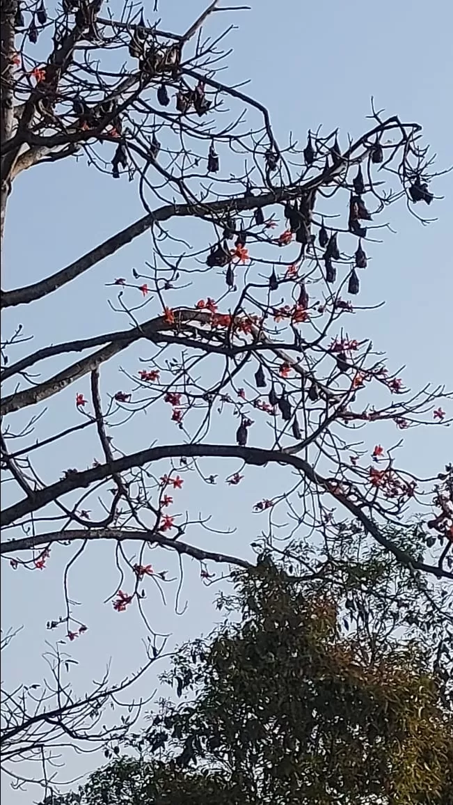Photo of Muzaffarpur By Geetmantras