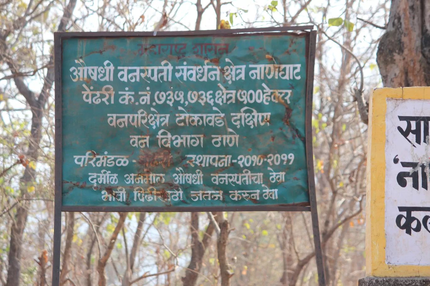 Photo of Malshej Ghat By Road Runner