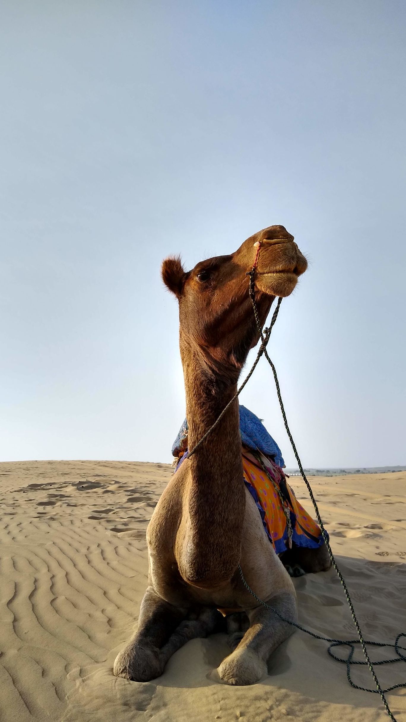 Photo of Jaisalmer Tanot Longewala Thar By Bhavya Shah