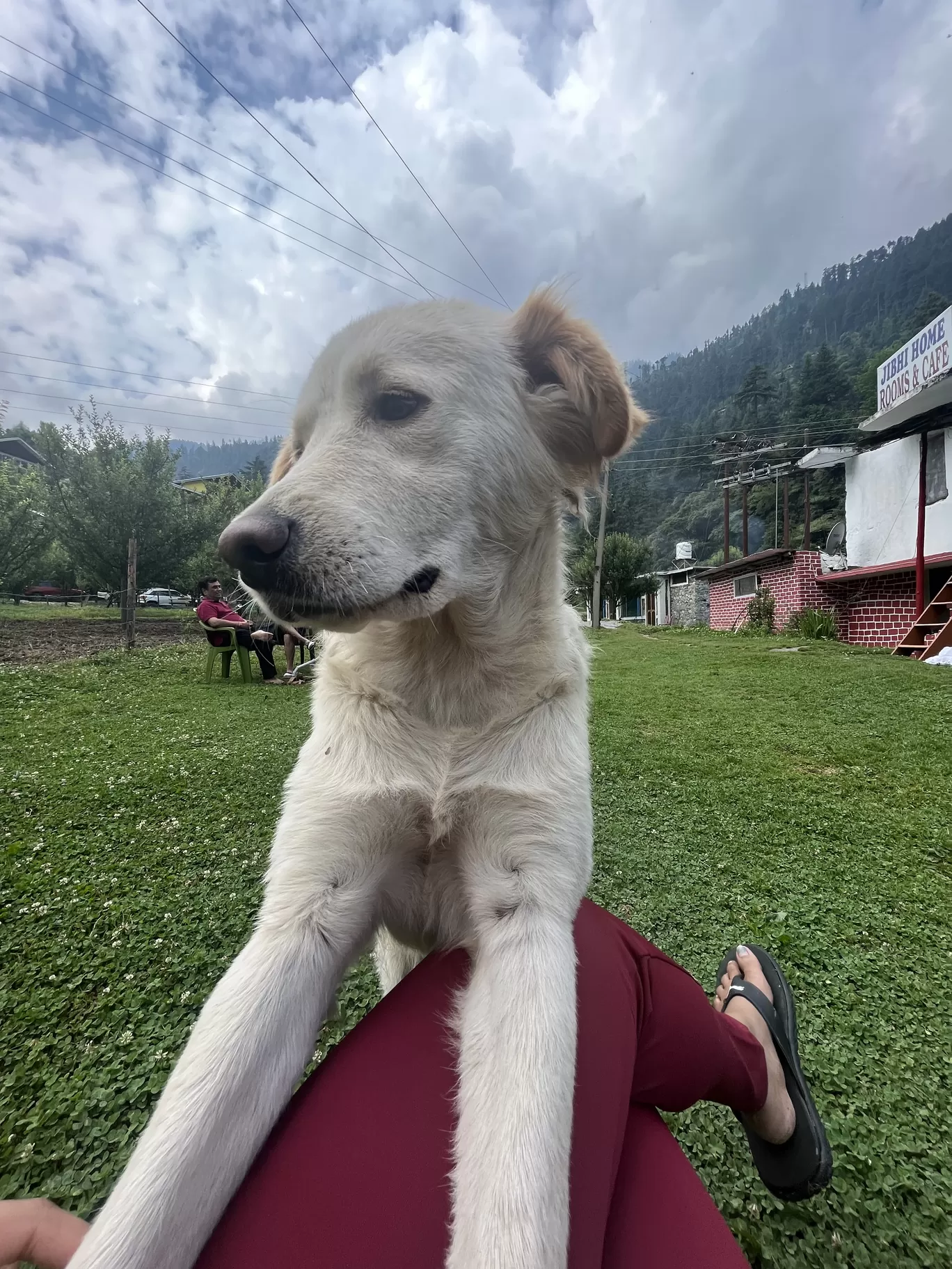Photo of Jibhi By Namrata Das Adhikary 