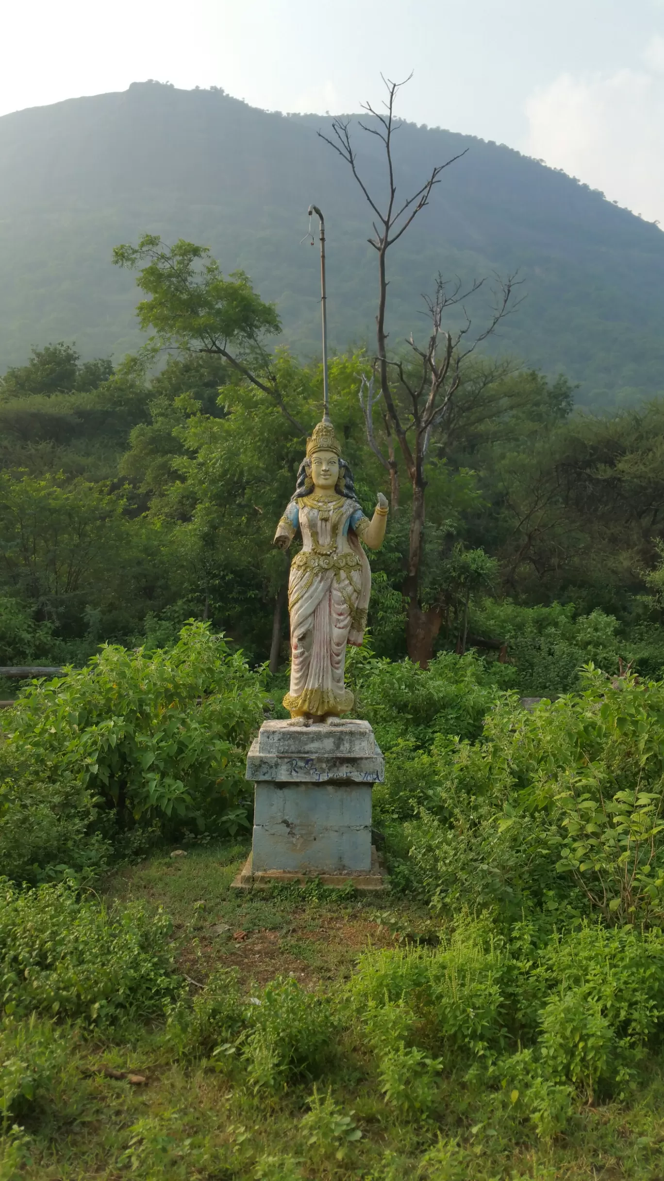 Photo of Pilavakkal Dam By Asok Babu