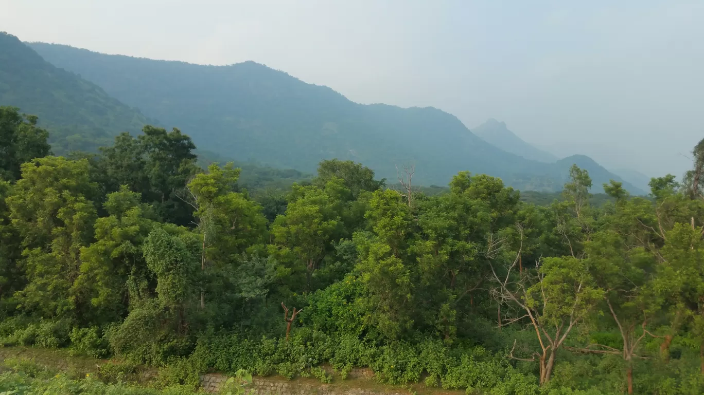 Photo of Pilavakkal Dam By Asok Babu